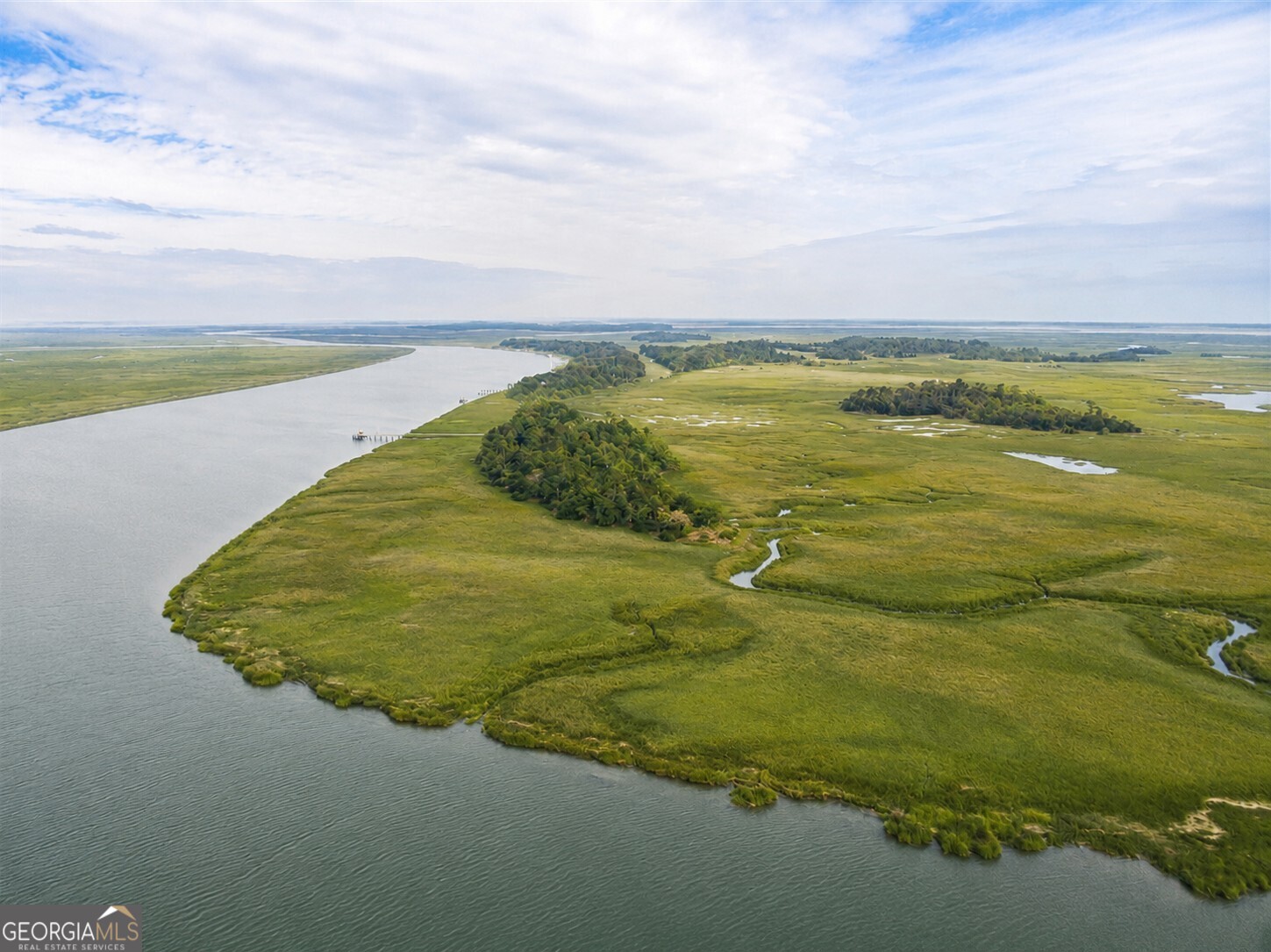 0 Lower Barbour Island Townsend GA 31331