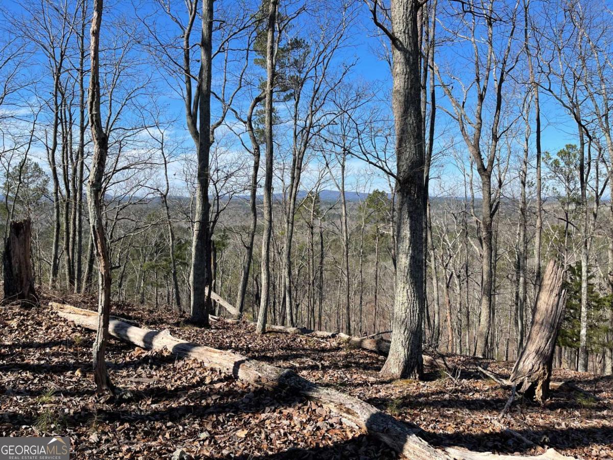 0A Johnson Lake Road #0A Cedartown GA 30125