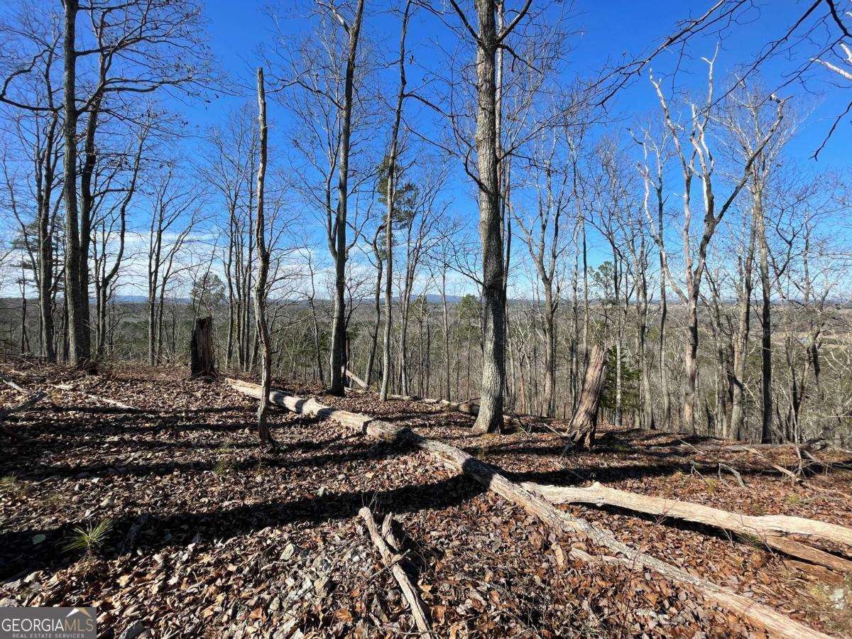 0A Johnson Lake Road #0A Cedartown GA 30125