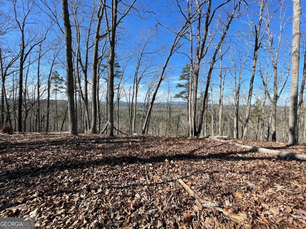 0A Johnson Lake Road #0A Cedartown GA 30125
