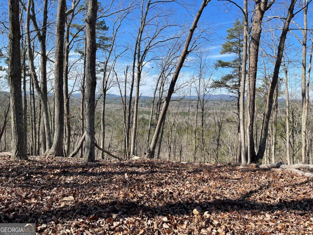 0A Johnson Lake Road #0A Cedartown GA 30125