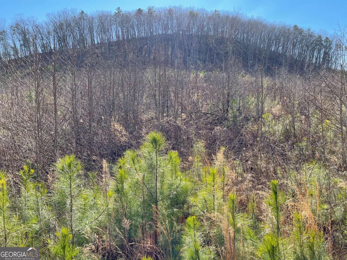 0A Johnson Lake Road #0A Cedartown GA 30125