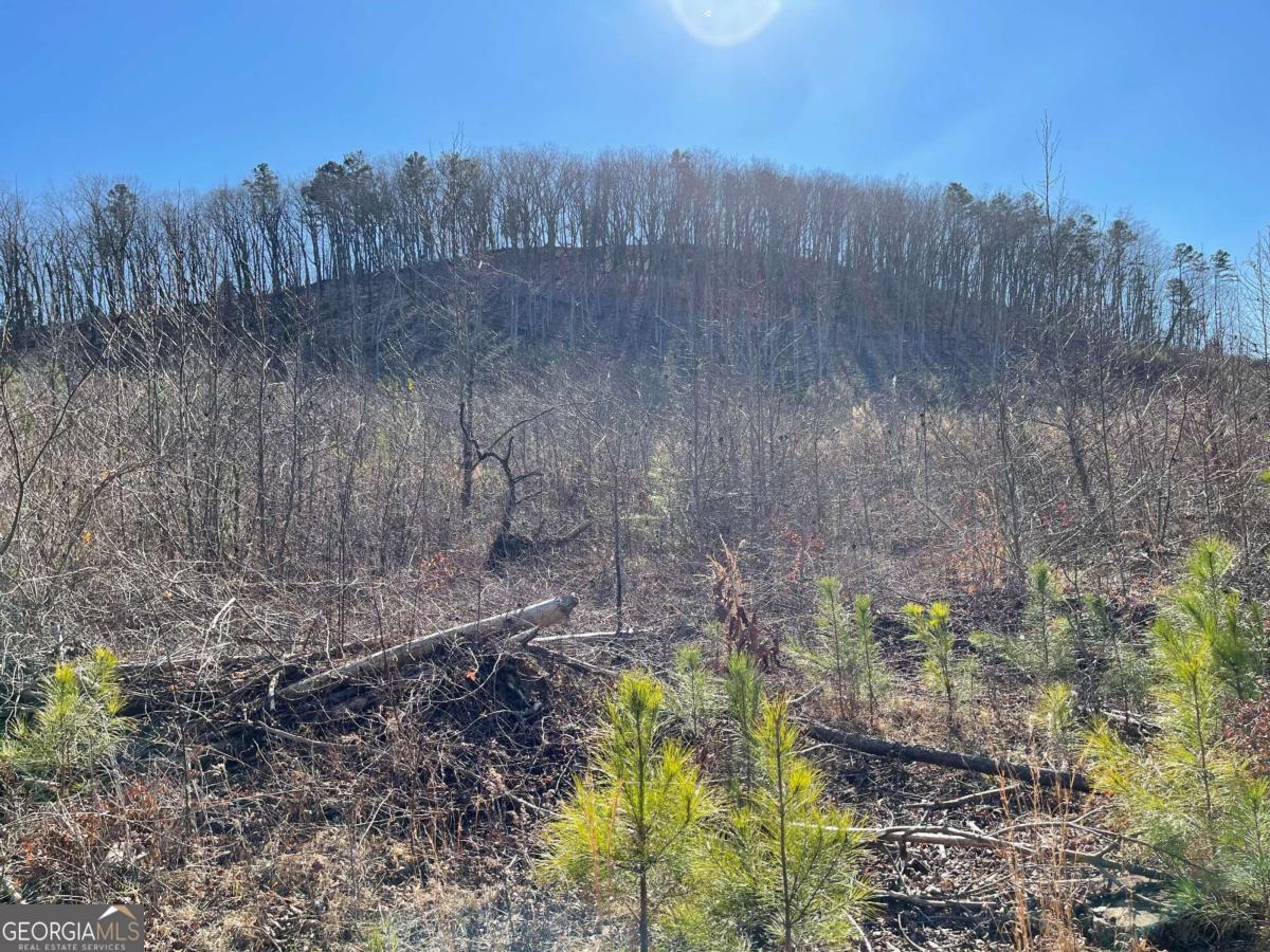 0A Johnson Lake Road #0A Cedartown GA 30125