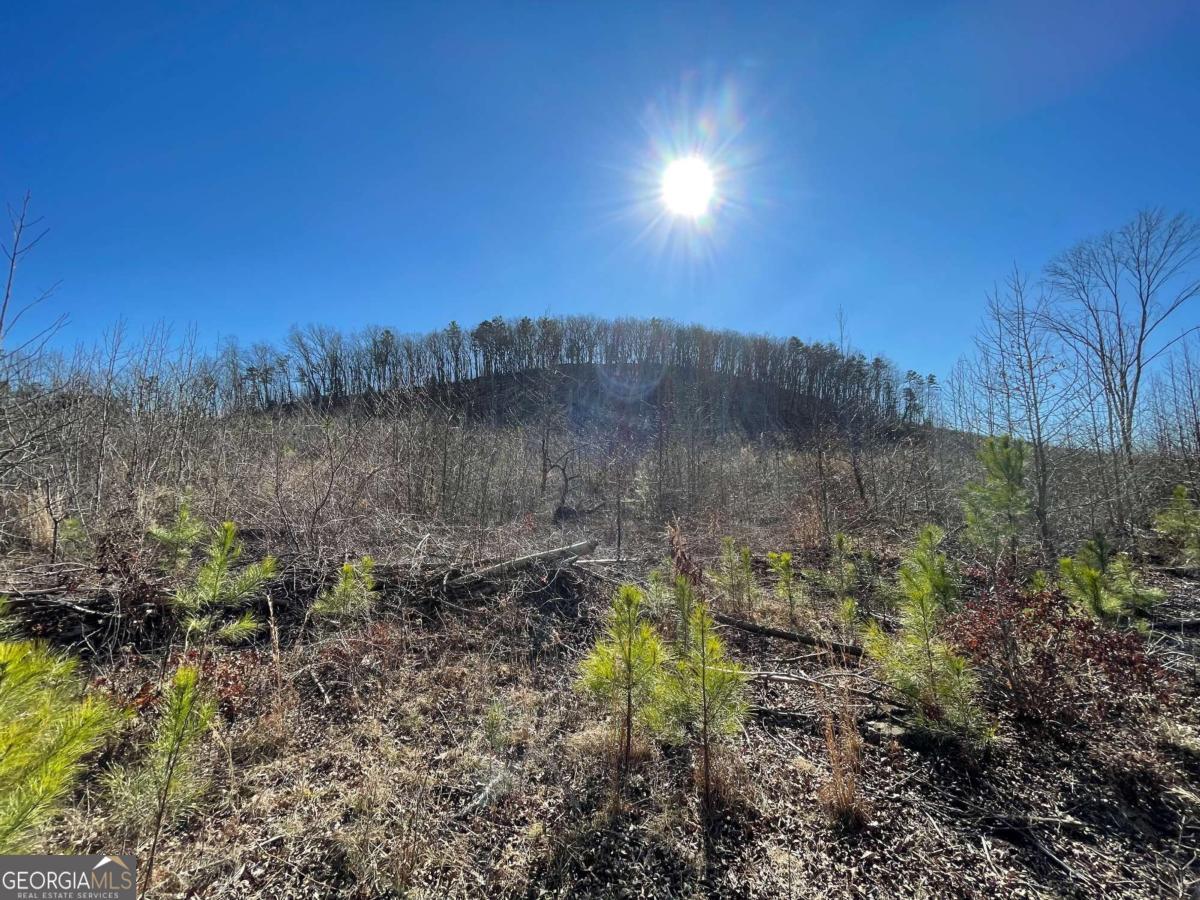 0A Johnson Lake Road #0A Cedartown GA 30125