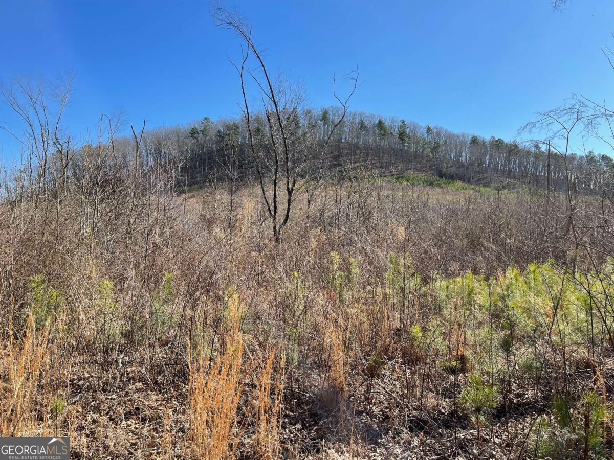 0A Johnson Lake Road #0A Cedartown GA 30125