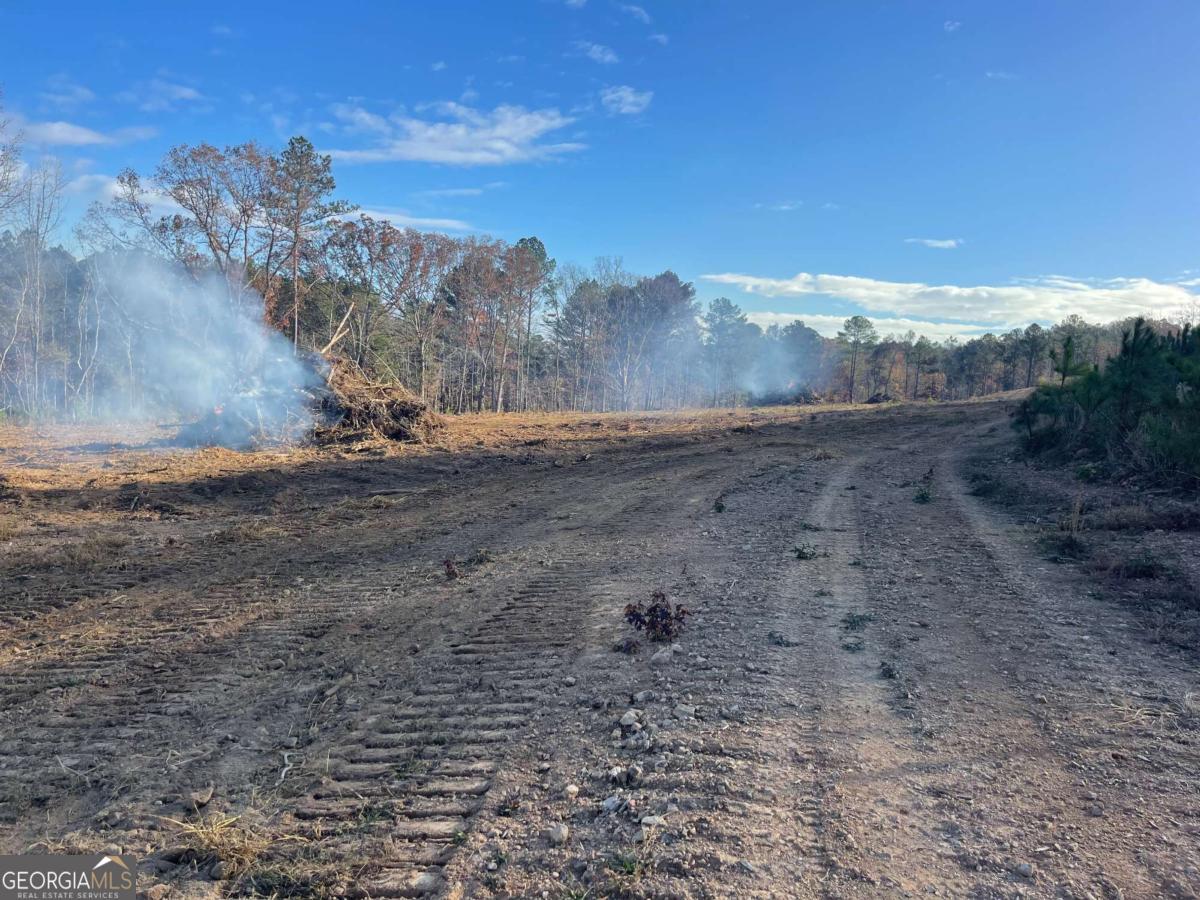 0A Johnson Lake Road #0A Cedartown GA 30125