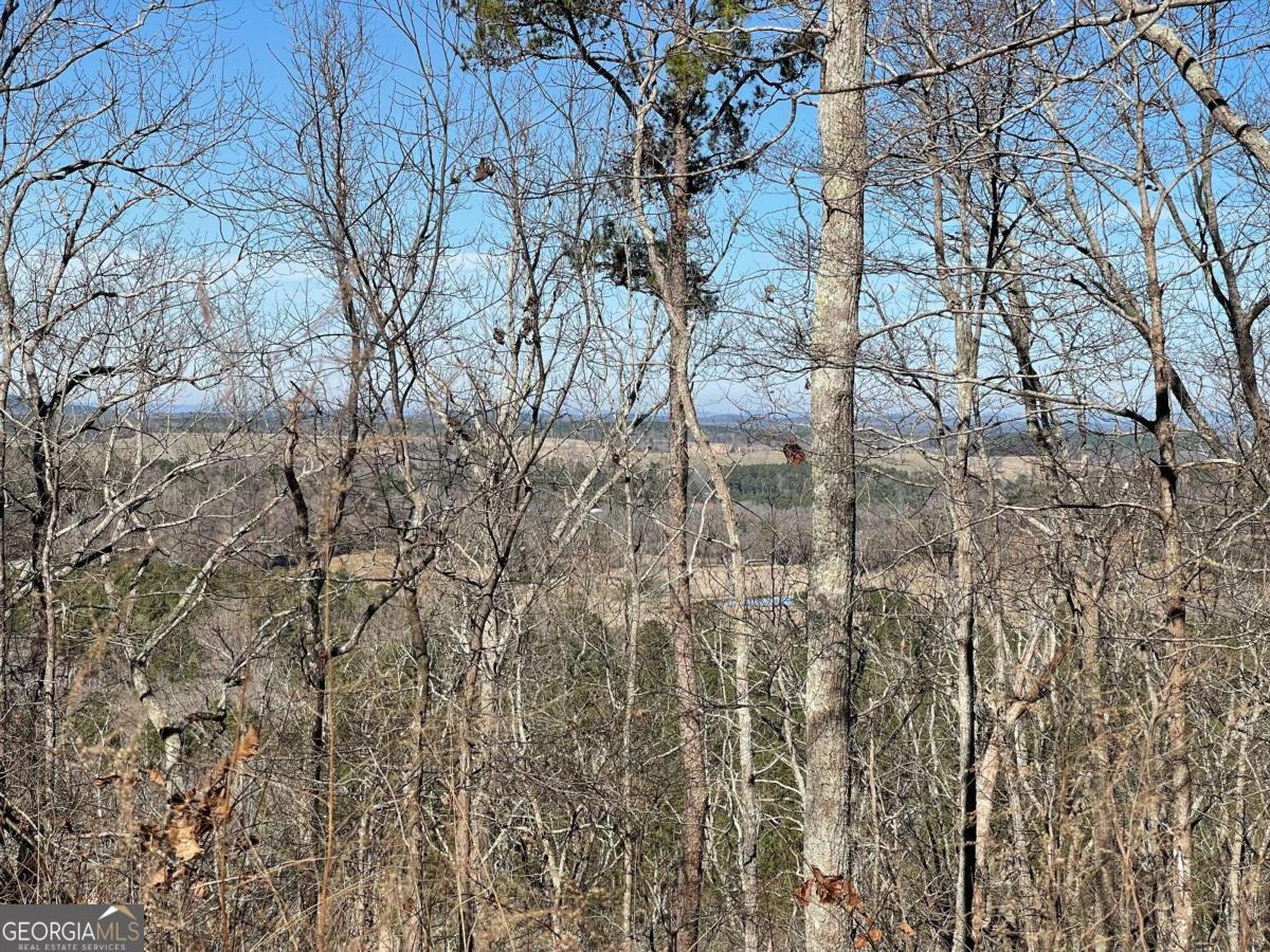 0A Johnson Lake Road #0A Cedartown GA 30125