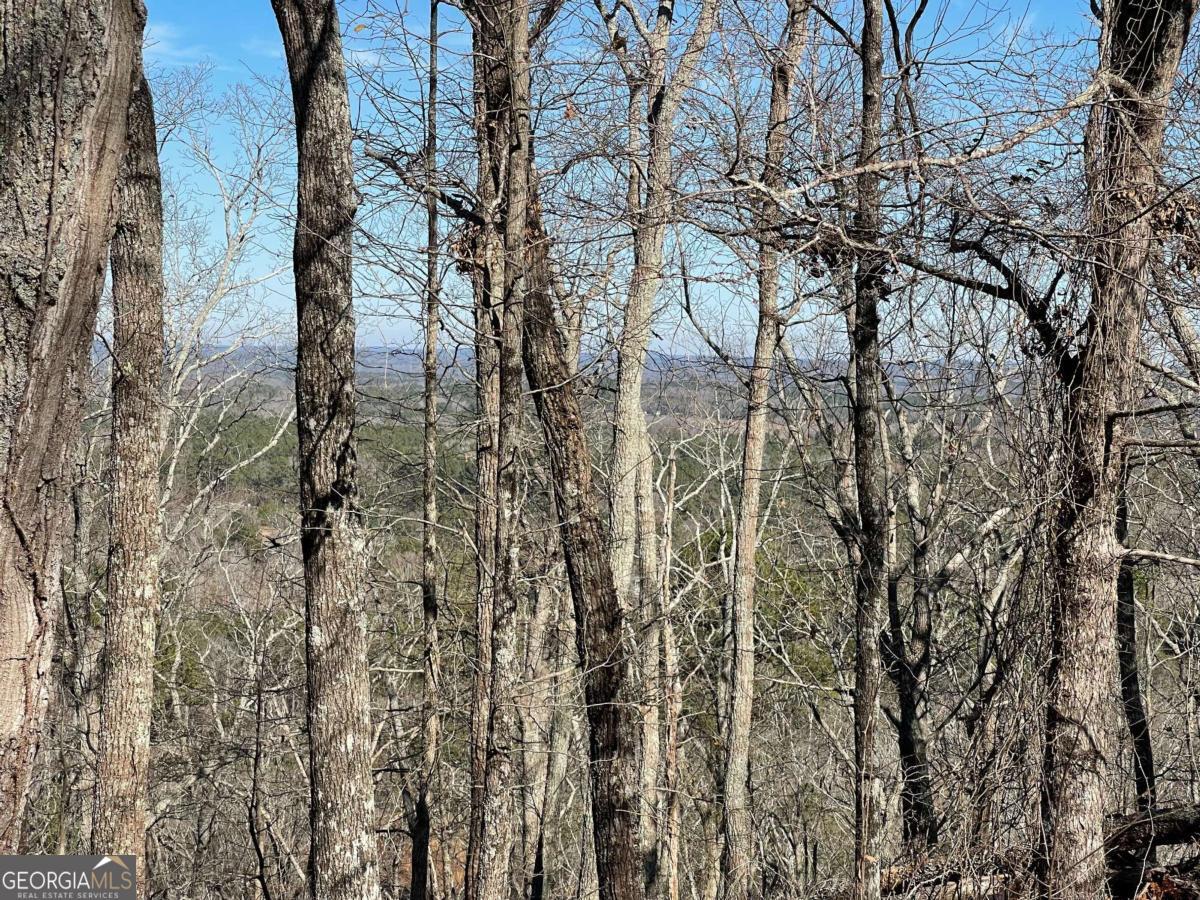 0A Johnson Lake Road #0A Cedartown GA 30125