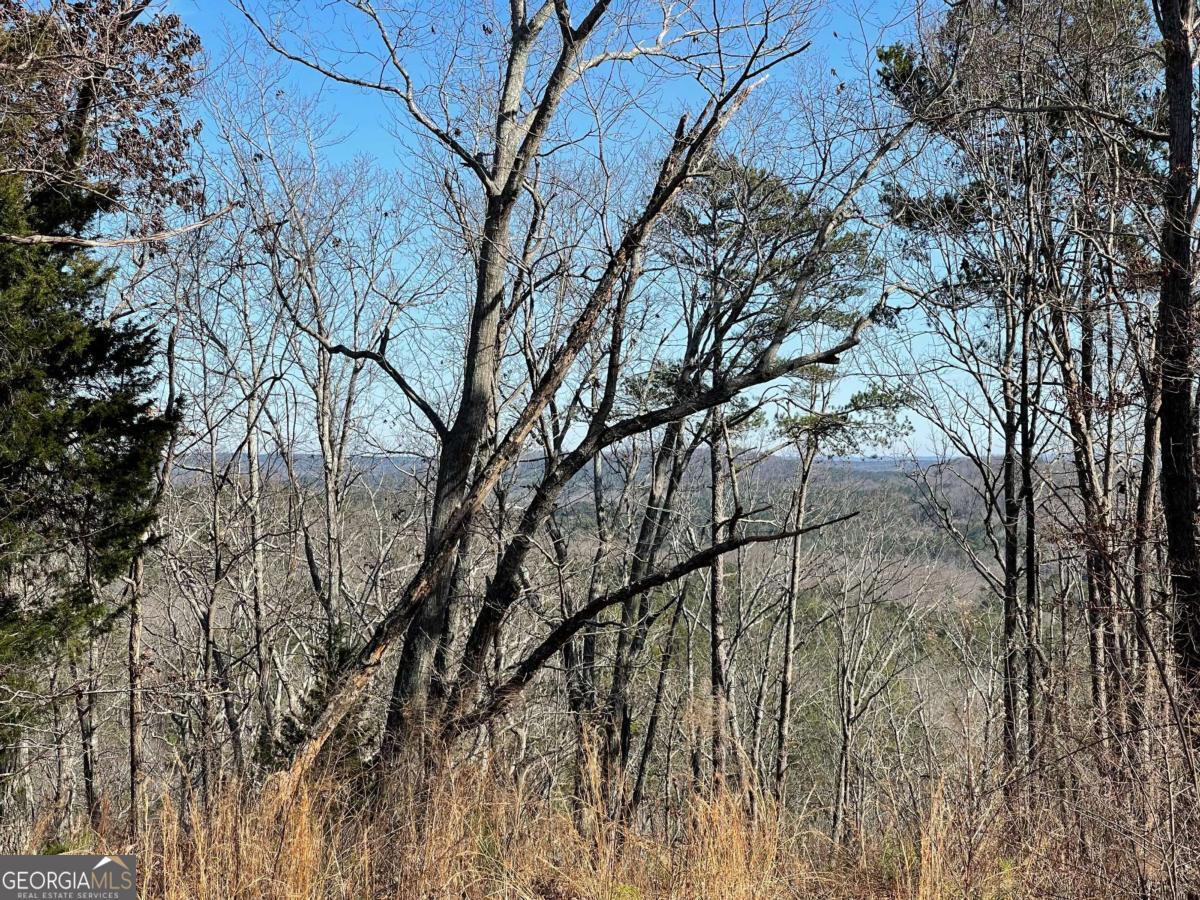 0A Johnson Lake Road #0A Cedartown GA 30125