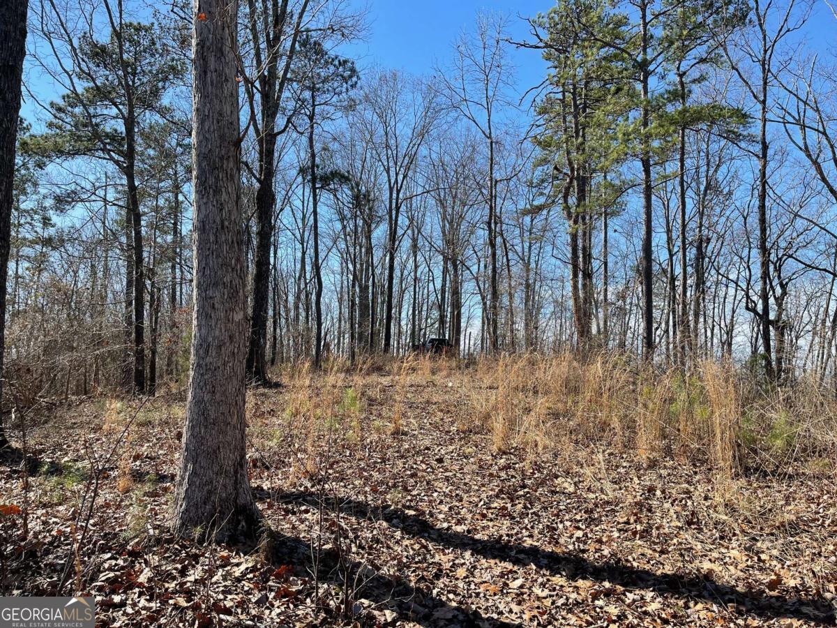 0A Johnson Lake Road #0A Cedartown GA 30125