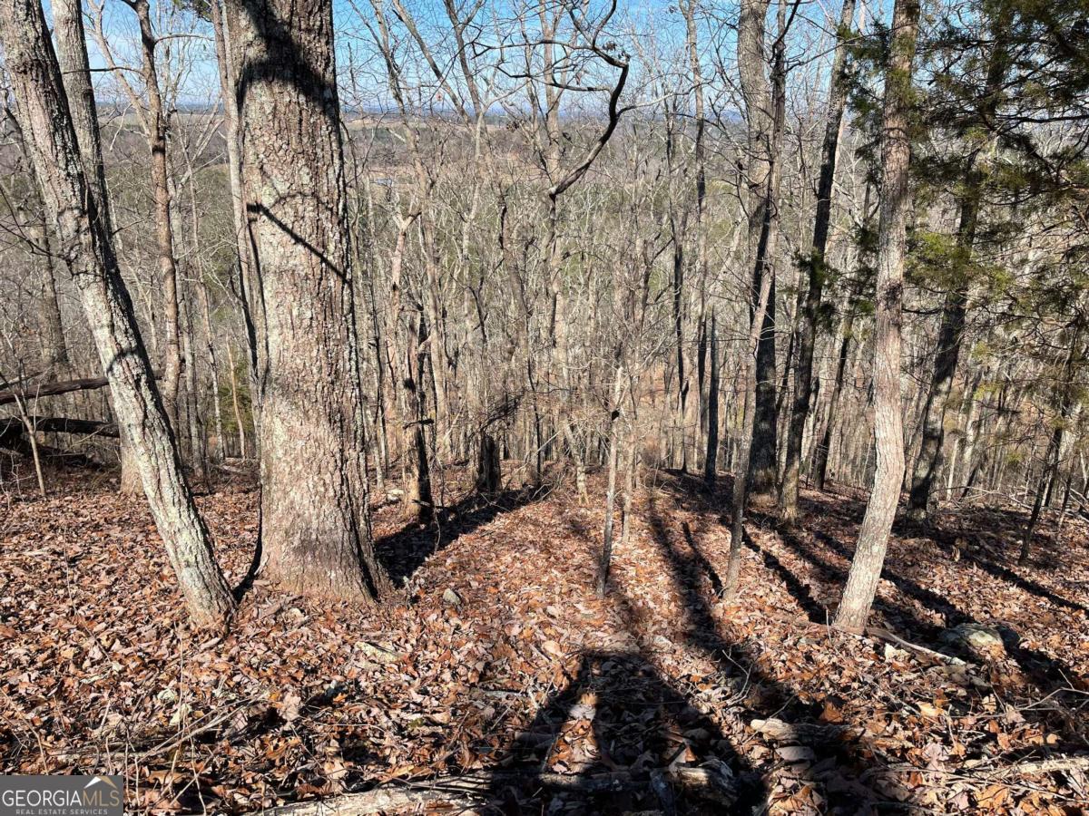 0A Johnson Lake Road #0A Cedartown GA 30125