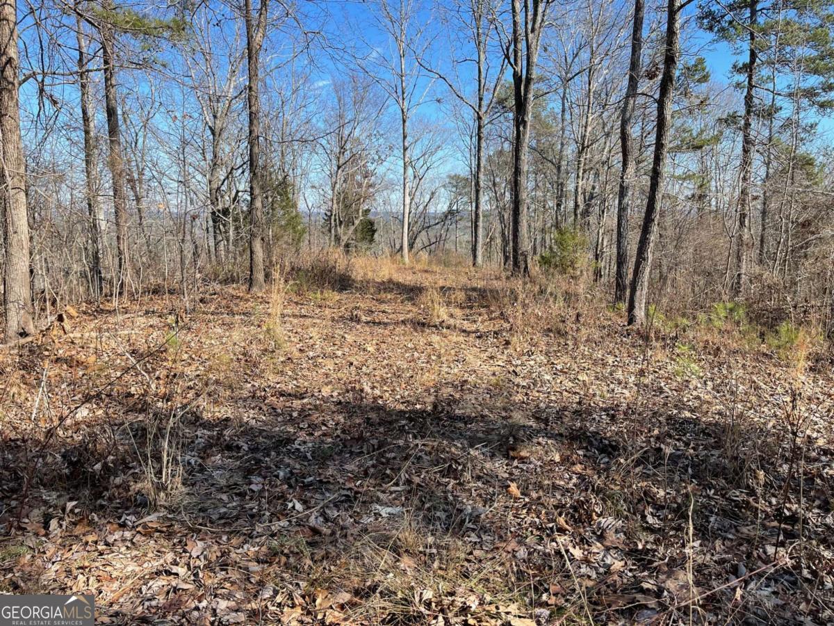 0A Johnson Lake Road #0A Cedartown GA 30125