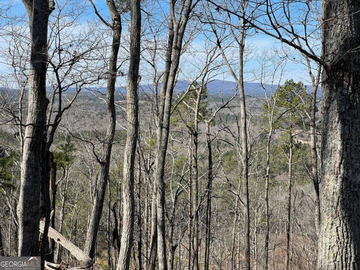 0A Johnson Lake Road #0A Cedartown GA 30125
