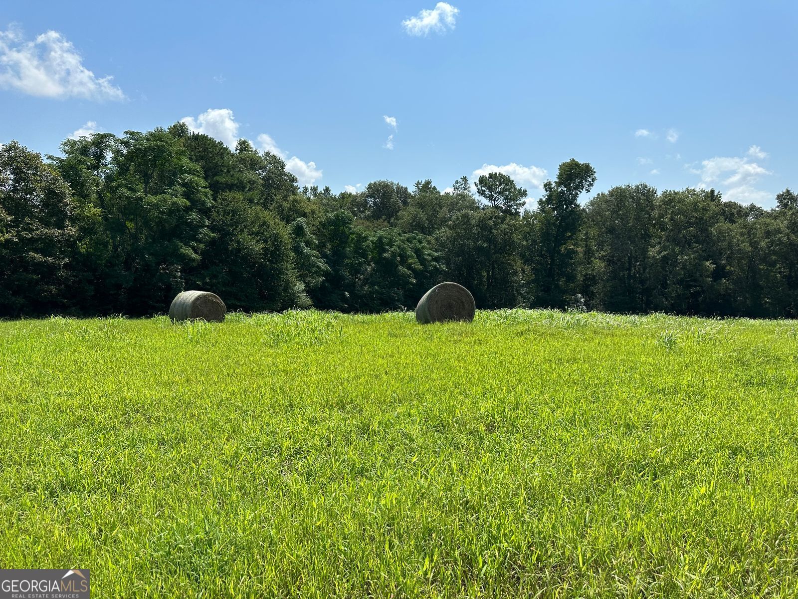 100AC Twin Bridges Road Eatonton GA 31024