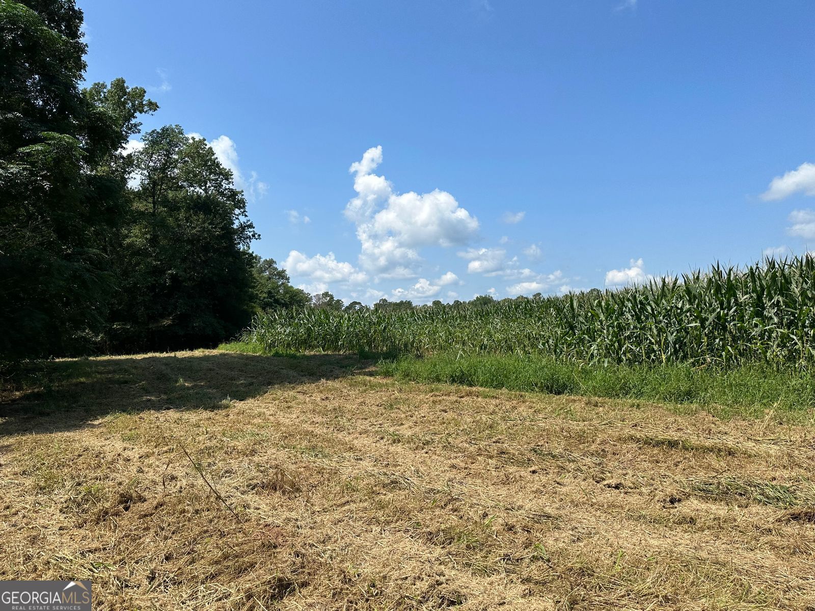 100AC Twin Bridges Road Eatonton GA 31024