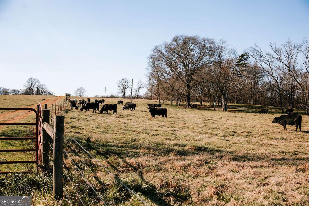 0 Ralph Bridges Road Lexington GA 30648
