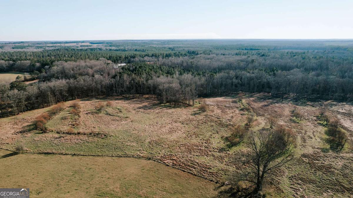 0 Ralph Bridges Road Lexington GA 30648