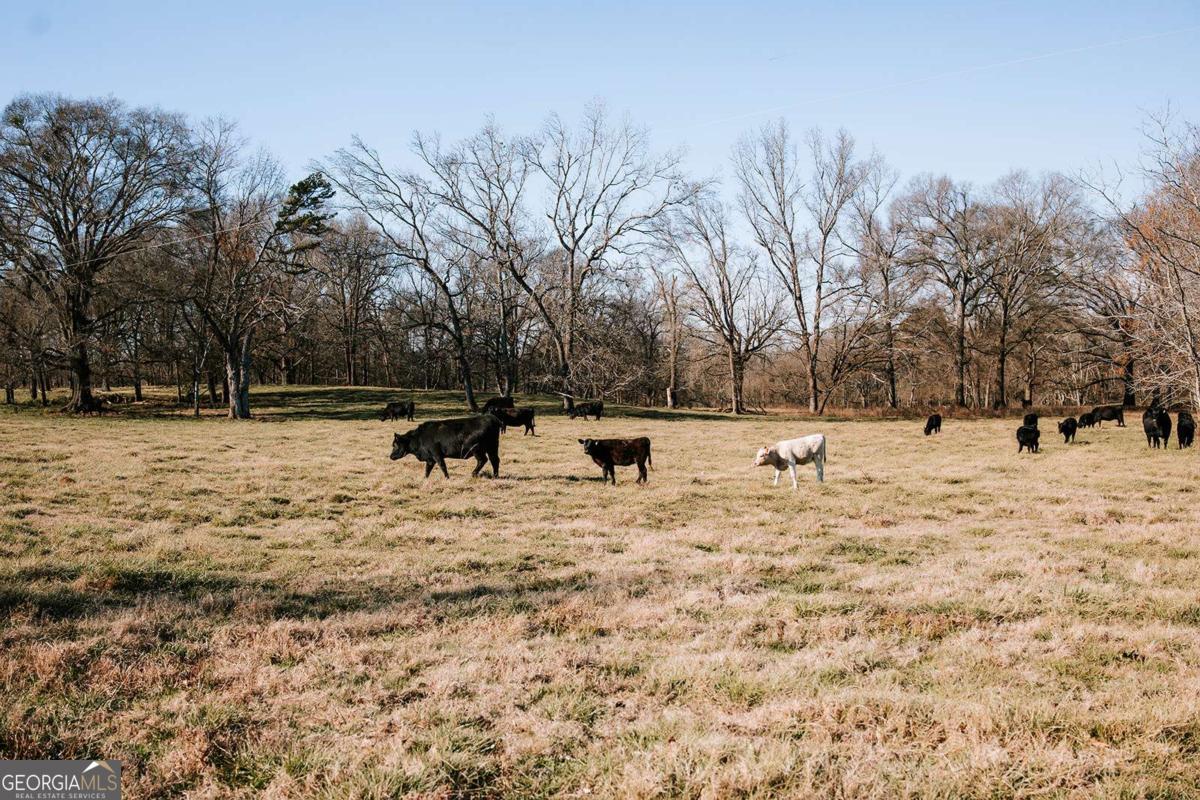 0 Ralph Bridges Road Lexington GA 30648