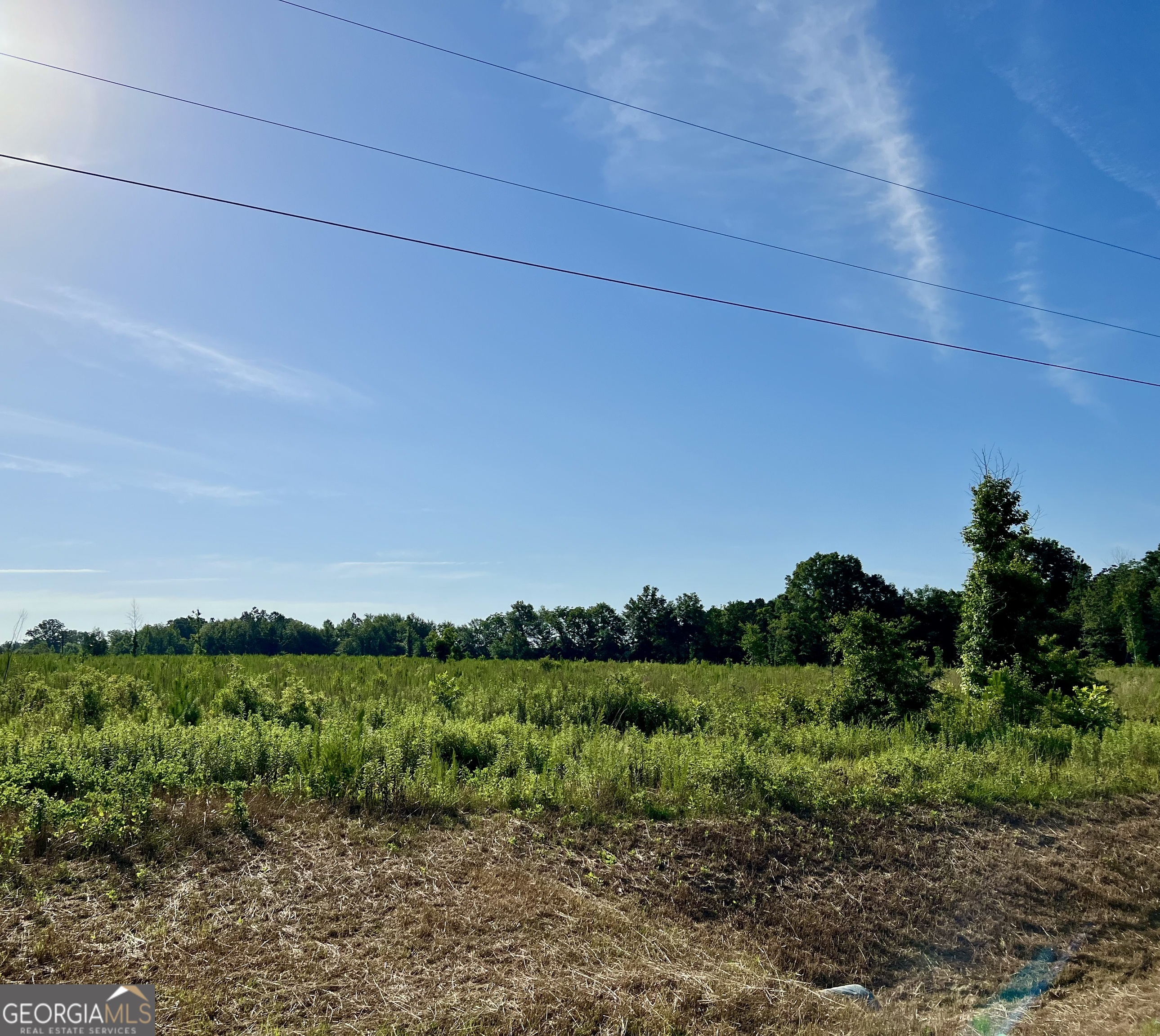 0 Tucker Grove Church Road Wrightsville GA 31096