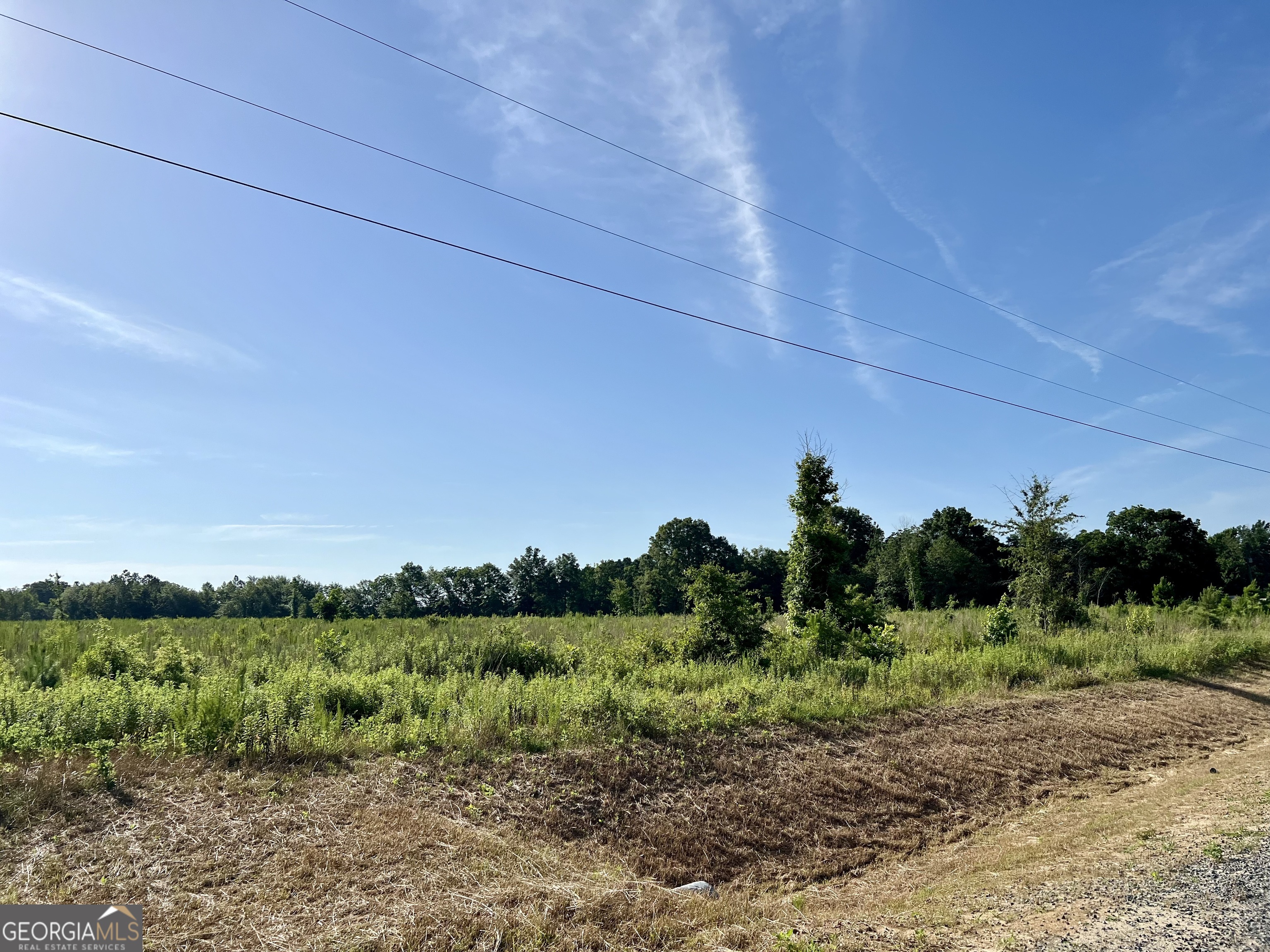 0 Tucker Grove Church Road Wrightsville GA 31096