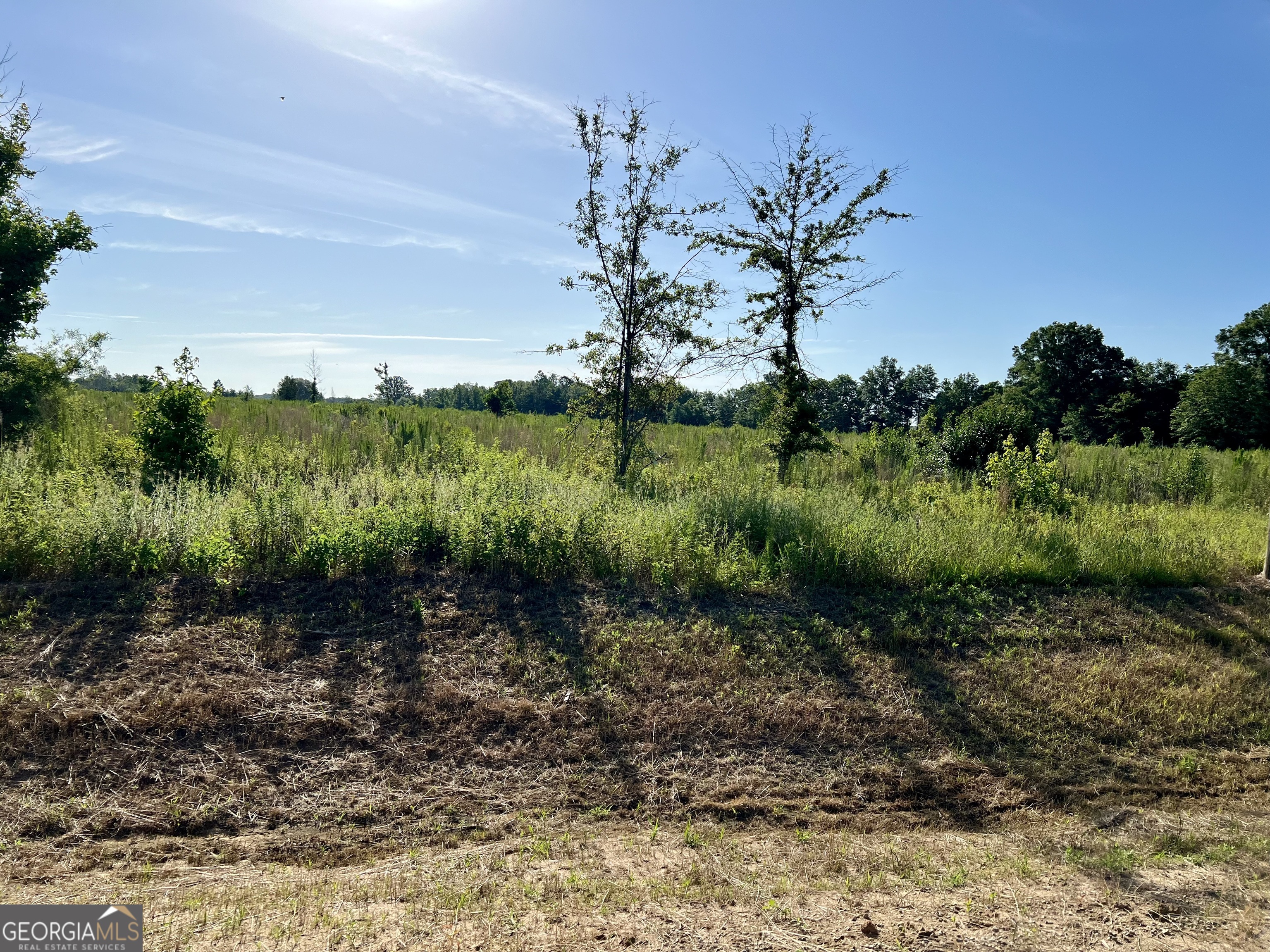 0 Tucker Grove Church Road Wrightsville GA 31096