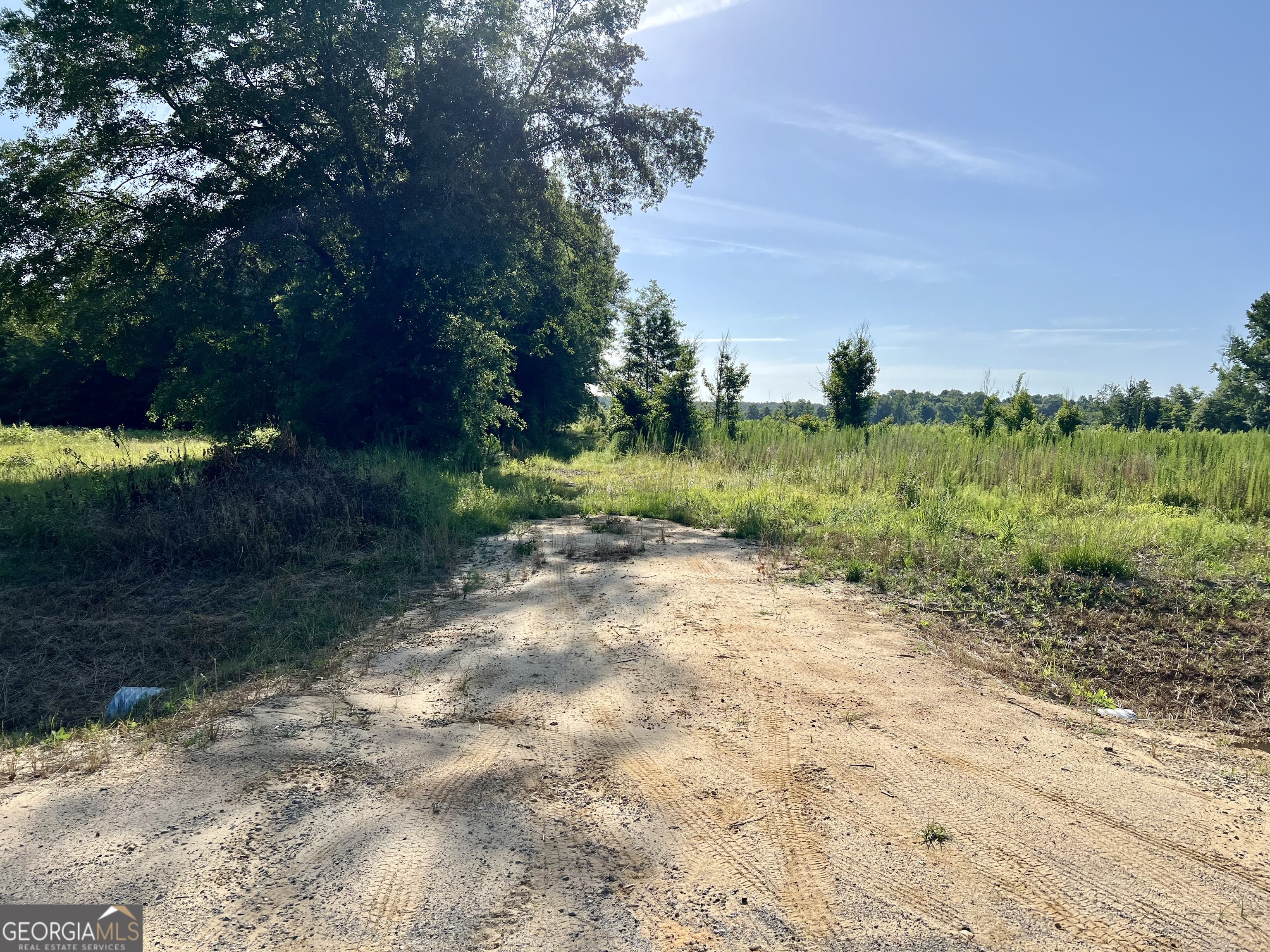 0 Tucker Grove Church Road Wrightsville GA 31096