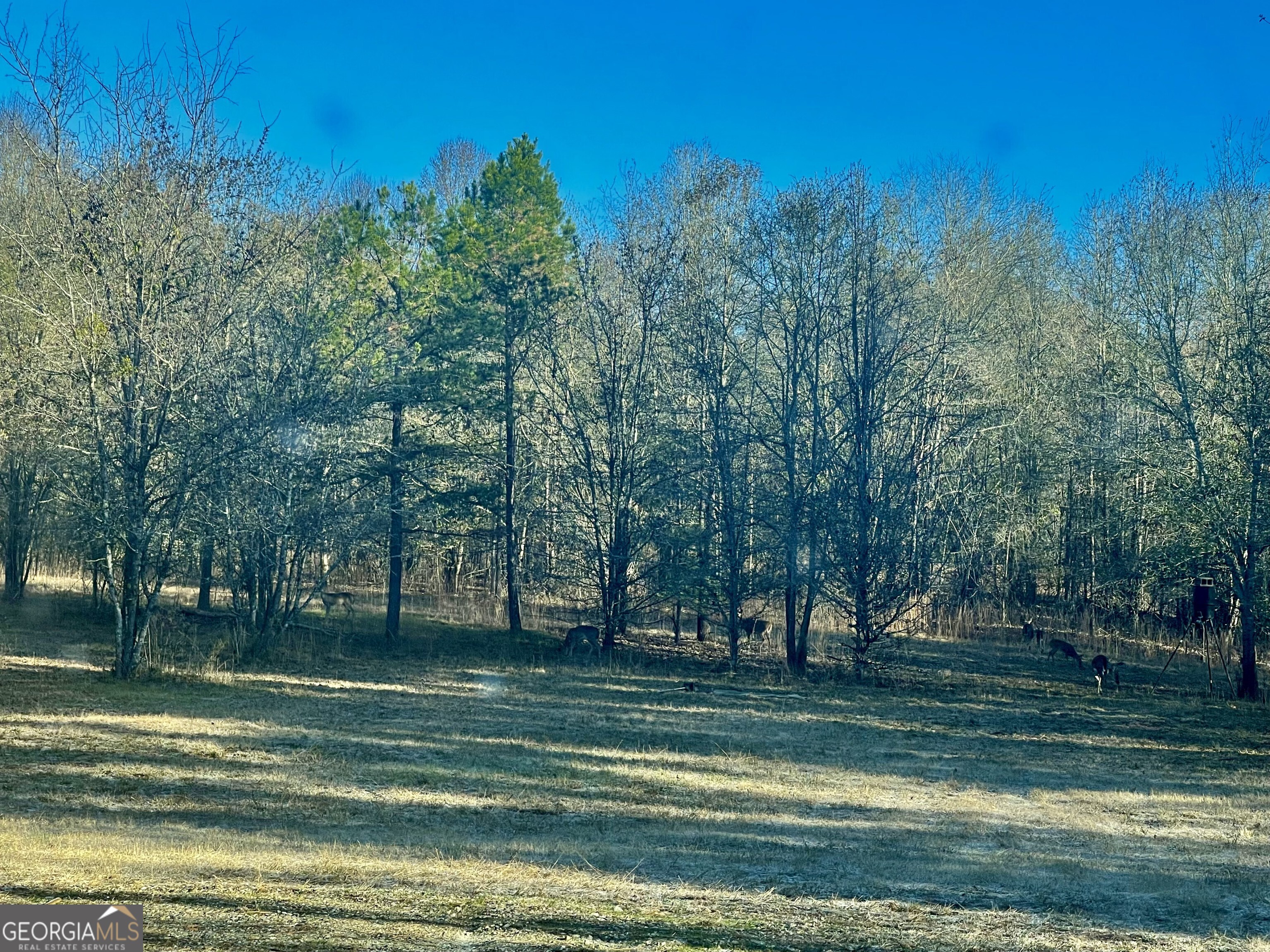 1072 Ford Road Jefferson GA 30549