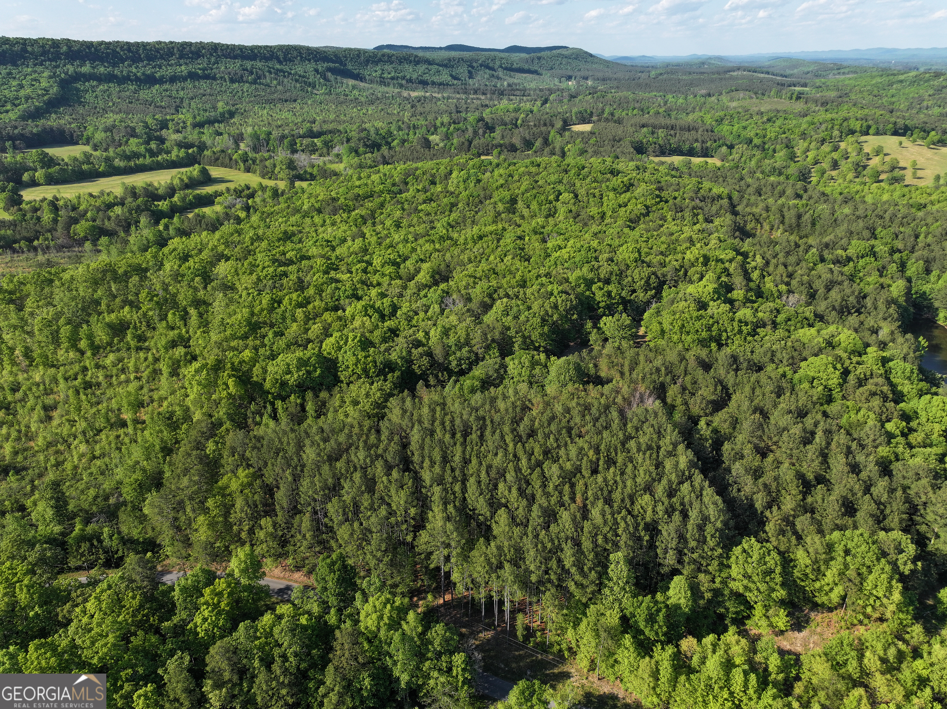 1218 Johnson Cemetery Road (29 +/-ACRES) Lyerly GA 30730