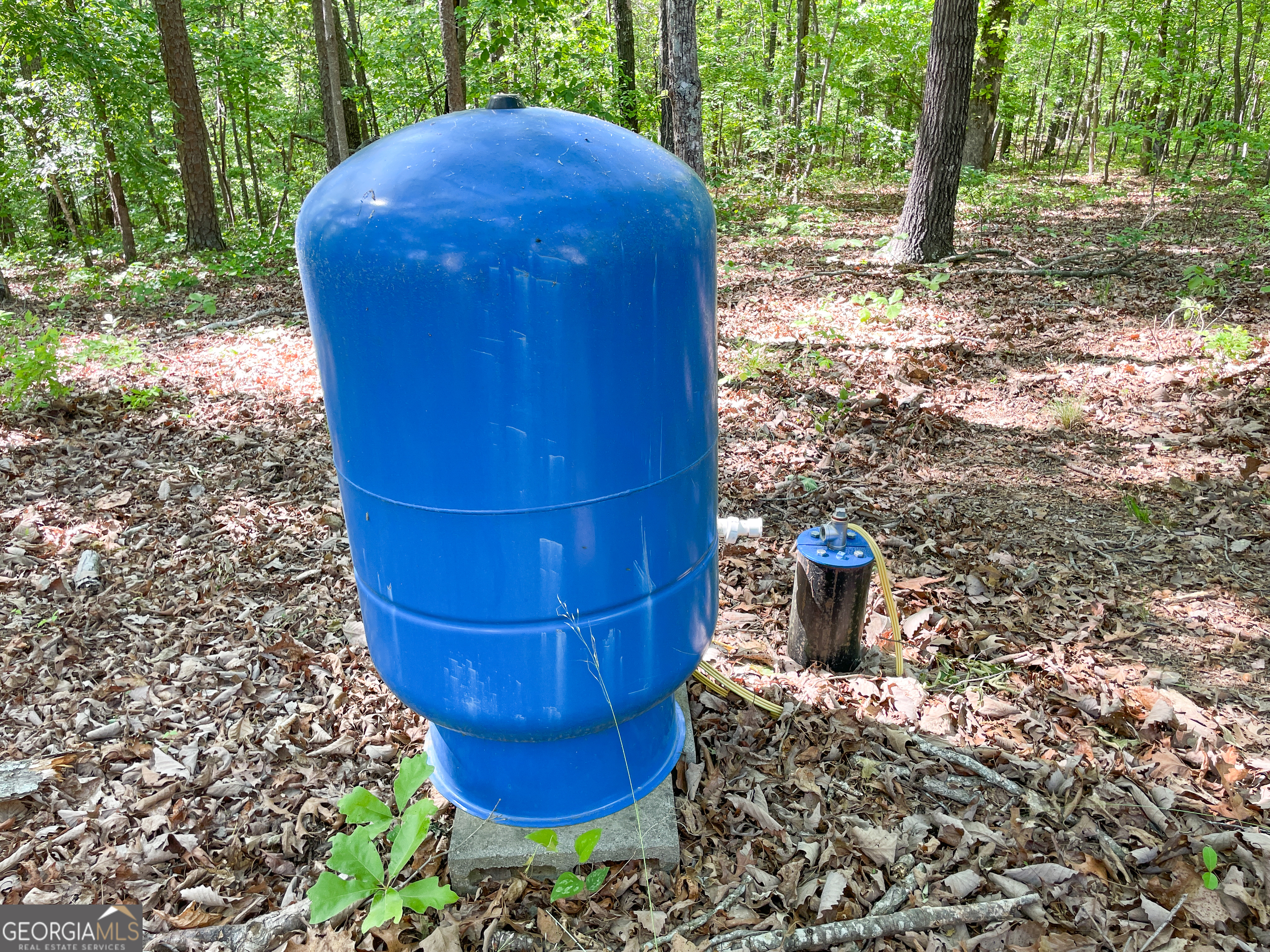 1218 Johnson Cemetery Road (29 +/-ACRES) Lyerly GA 30730