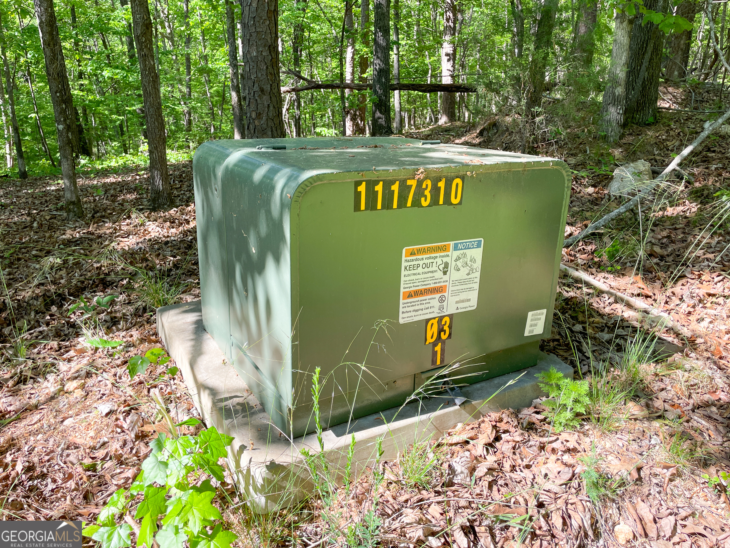 1218 Johnson Cemetery Road (29 +/-ACRES) Lyerly GA 30730