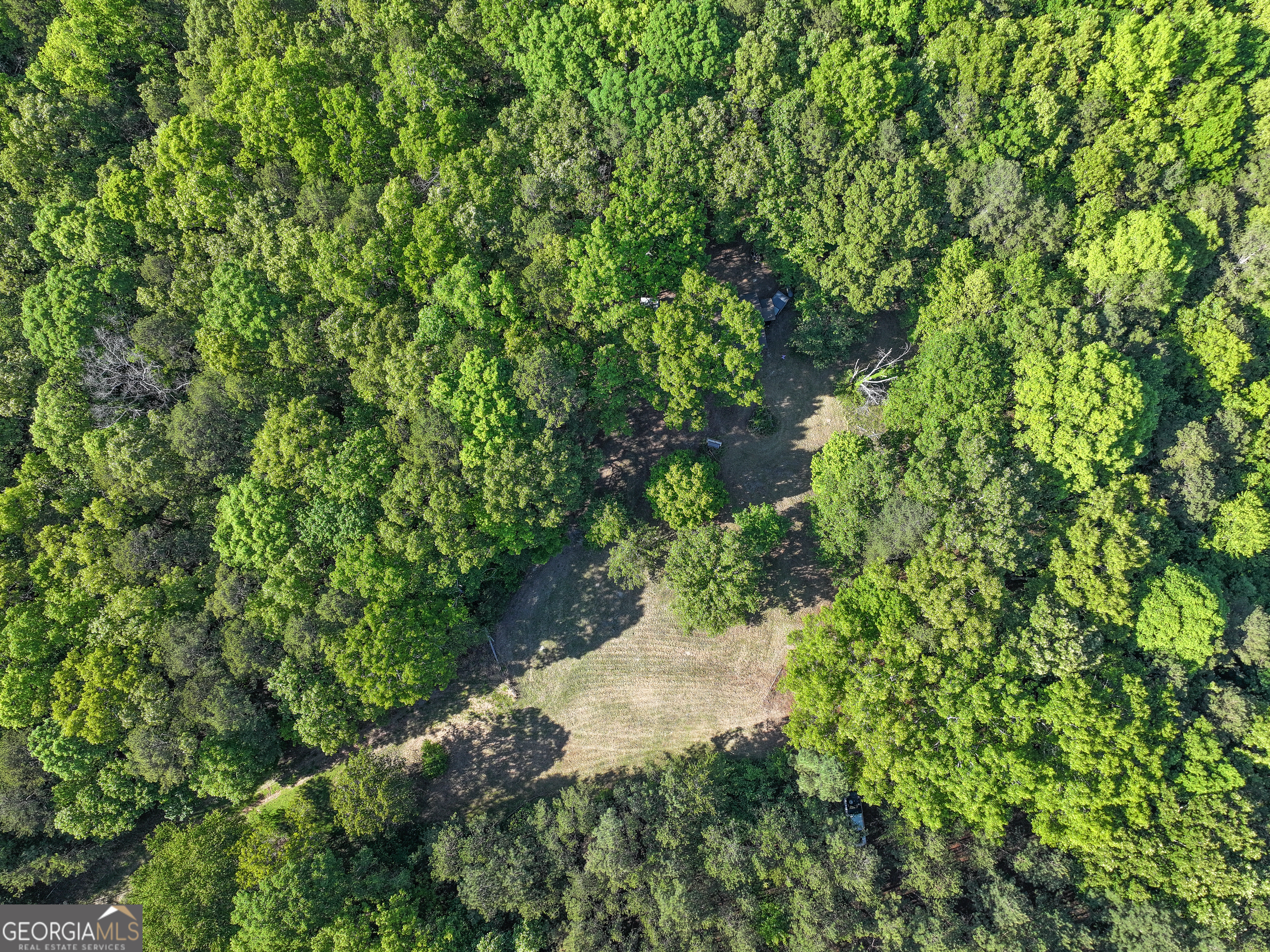 1218 Johnson Cemetery Road (29 +/-ACRES) Lyerly GA 30730