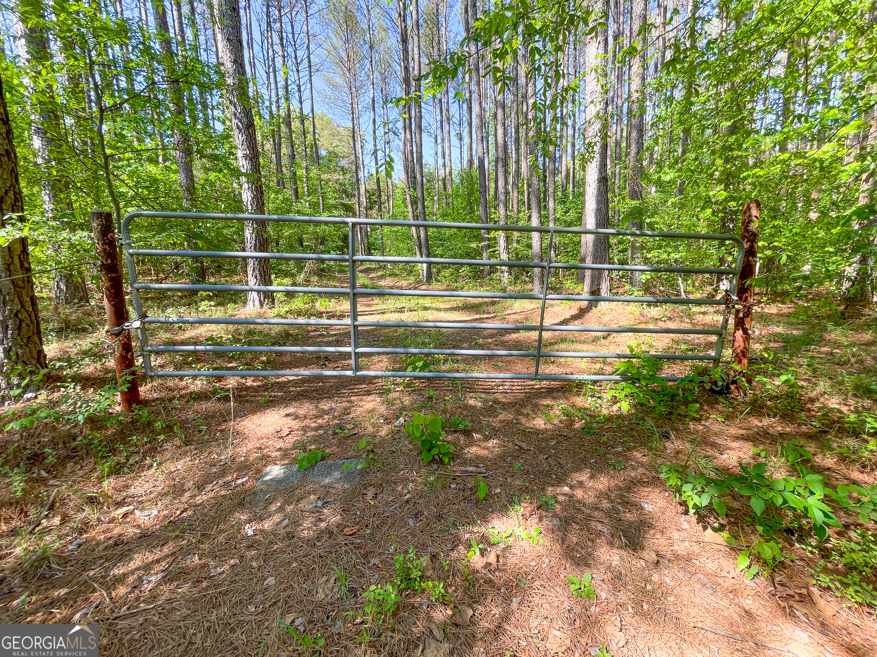 1218 Johnson Cemetery Road (29 +/-ACRES) Lyerly GA 30730