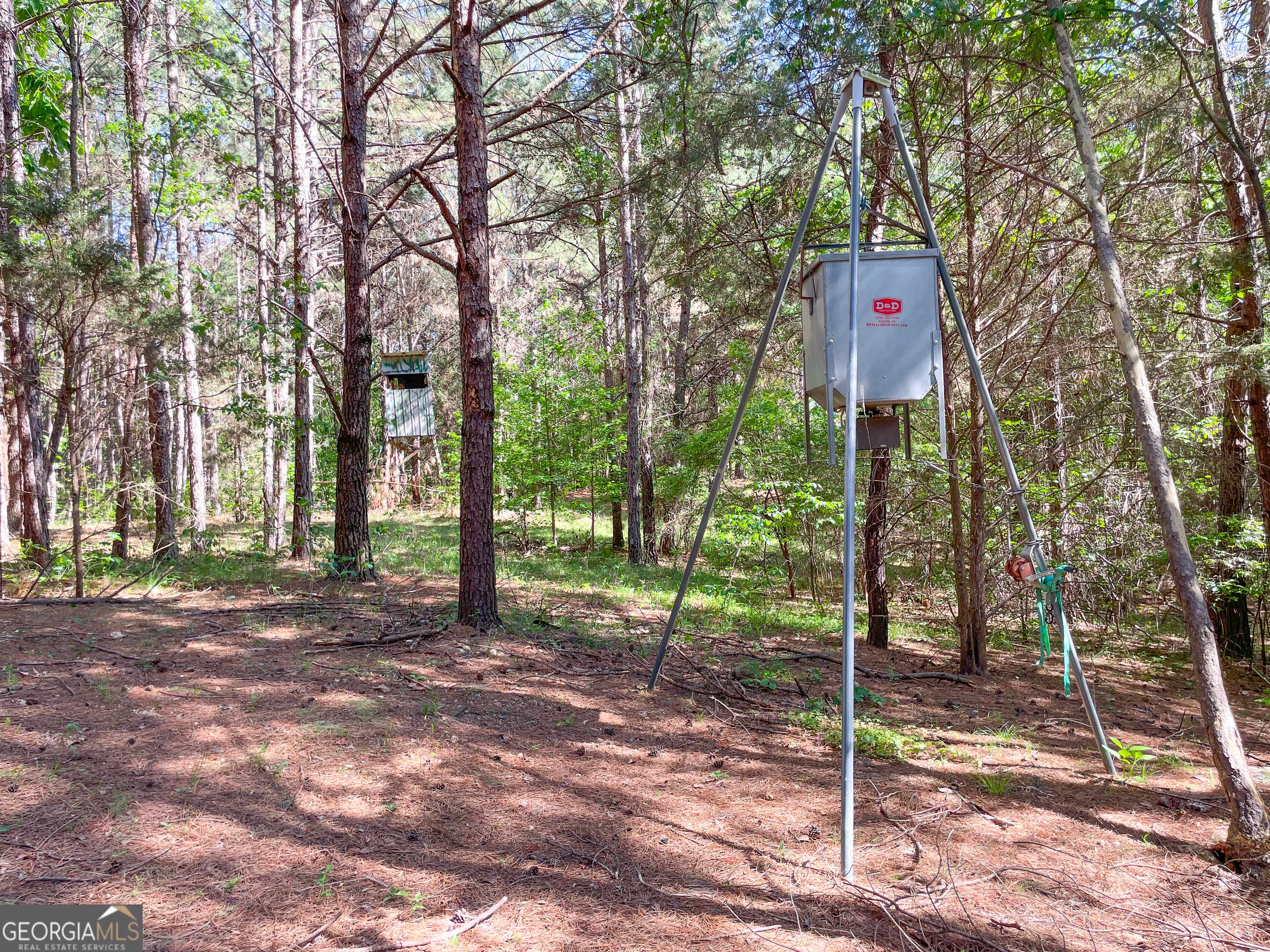 1218 Johnson Cemetery Road (29 +/-ACRES) Lyerly GA 30730