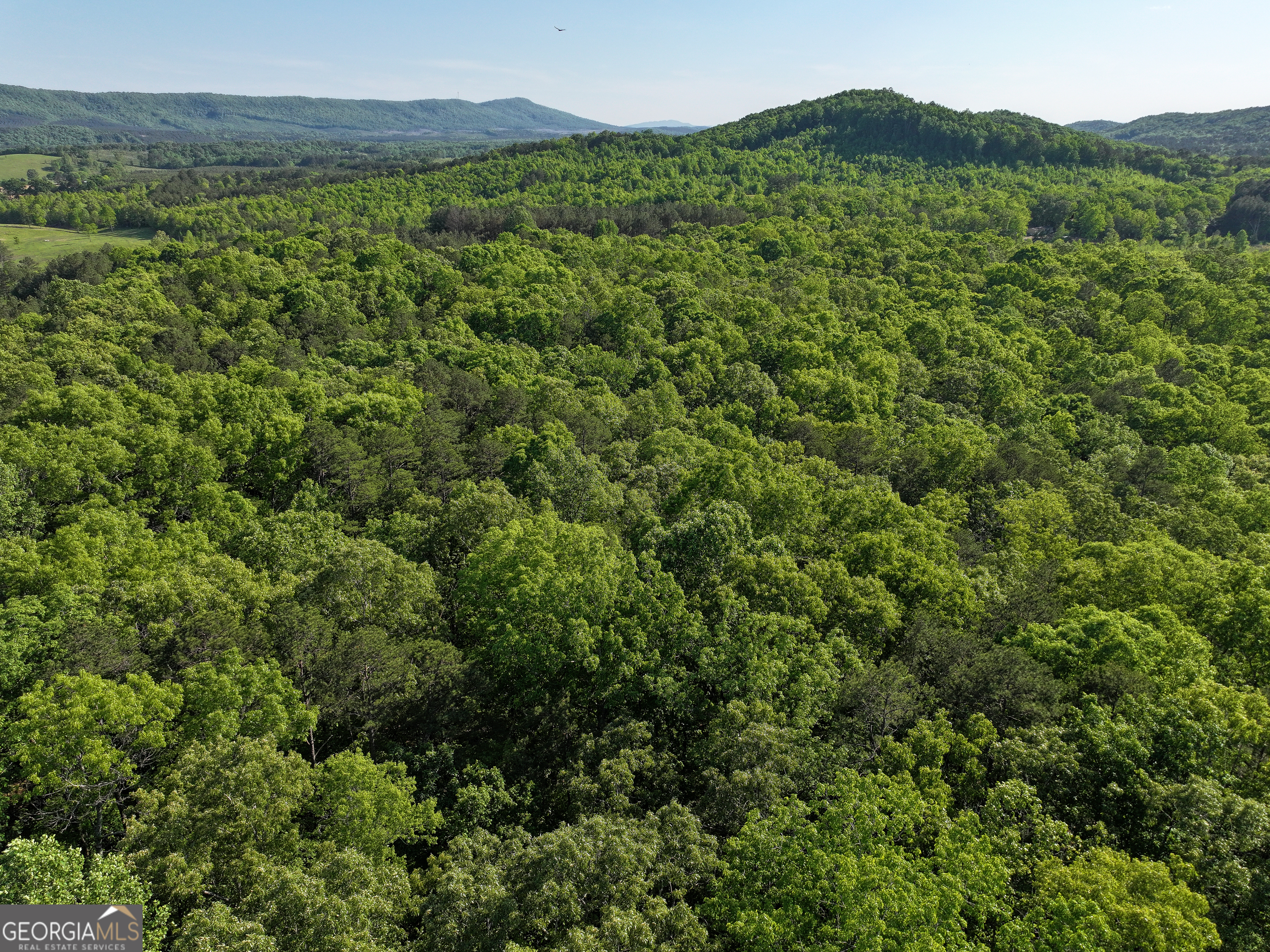 1218 Johnson Cemetery Road (29 +/-ACRES) Lyerly GA 30730