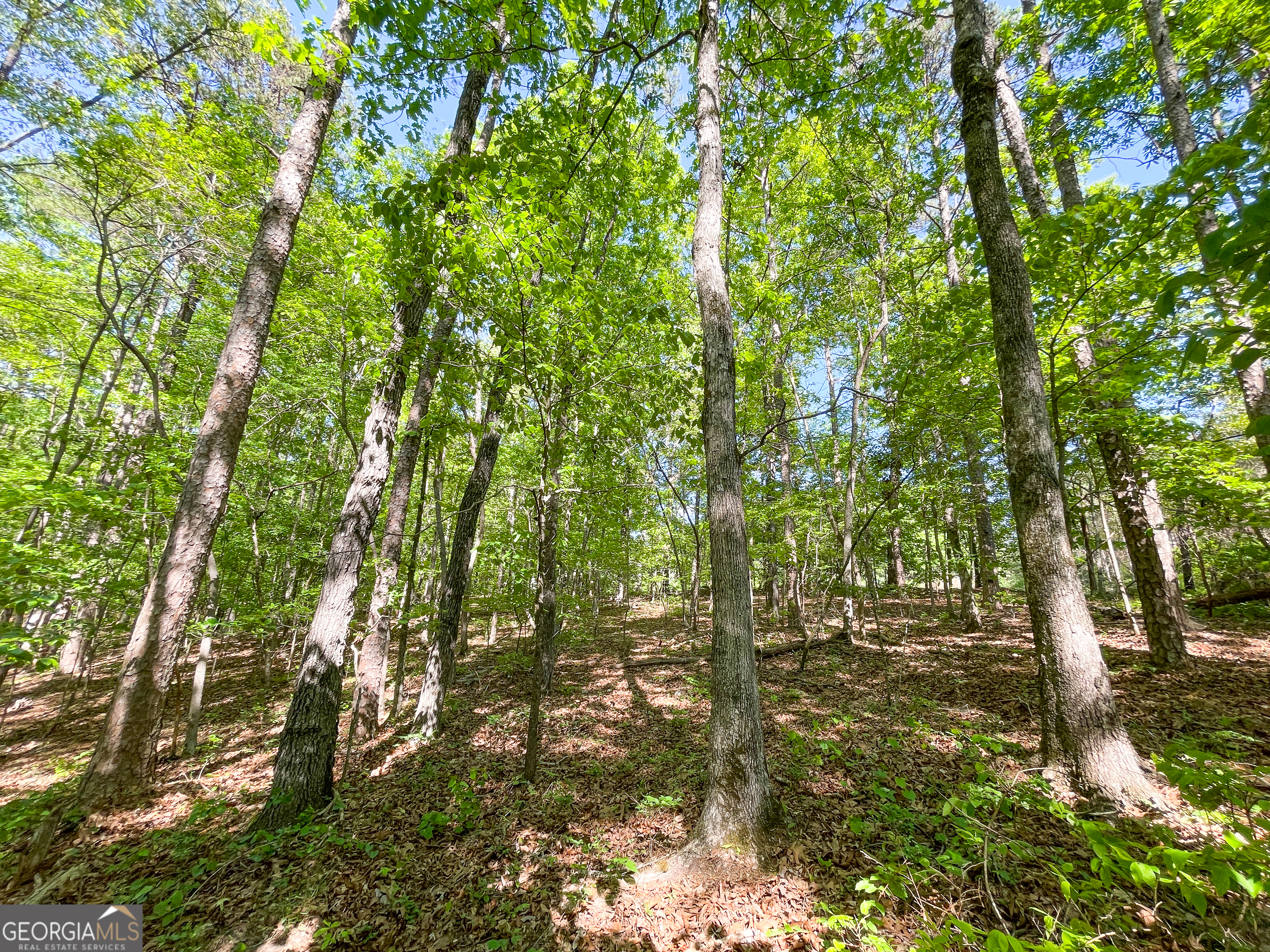 1218 Johnson Cemetery Road (29 +/-ACRES) Lyerly GA 30730