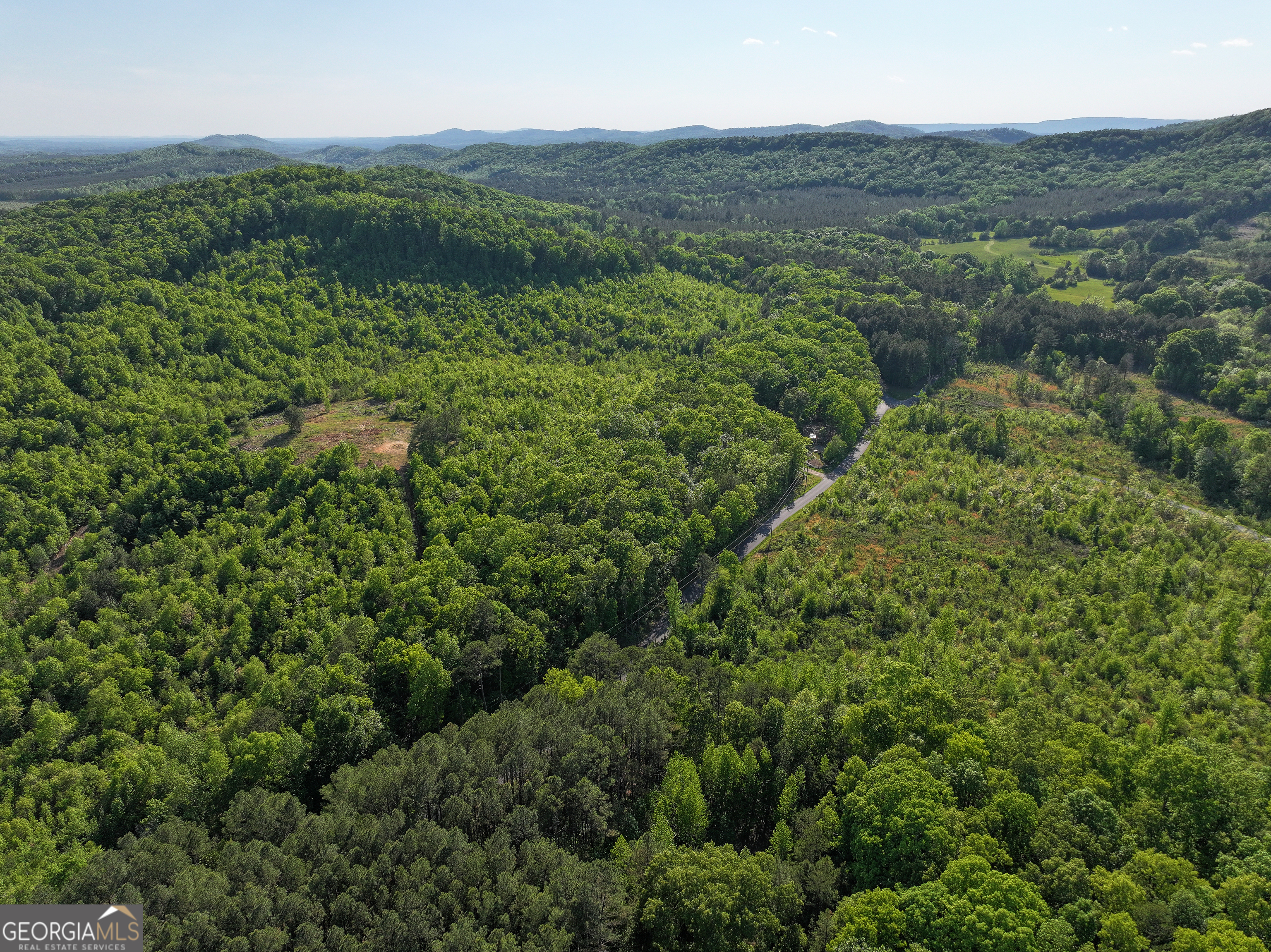1218 Johnson Cemetery Road (29 +/-ACRES) Lyerly GA 30730