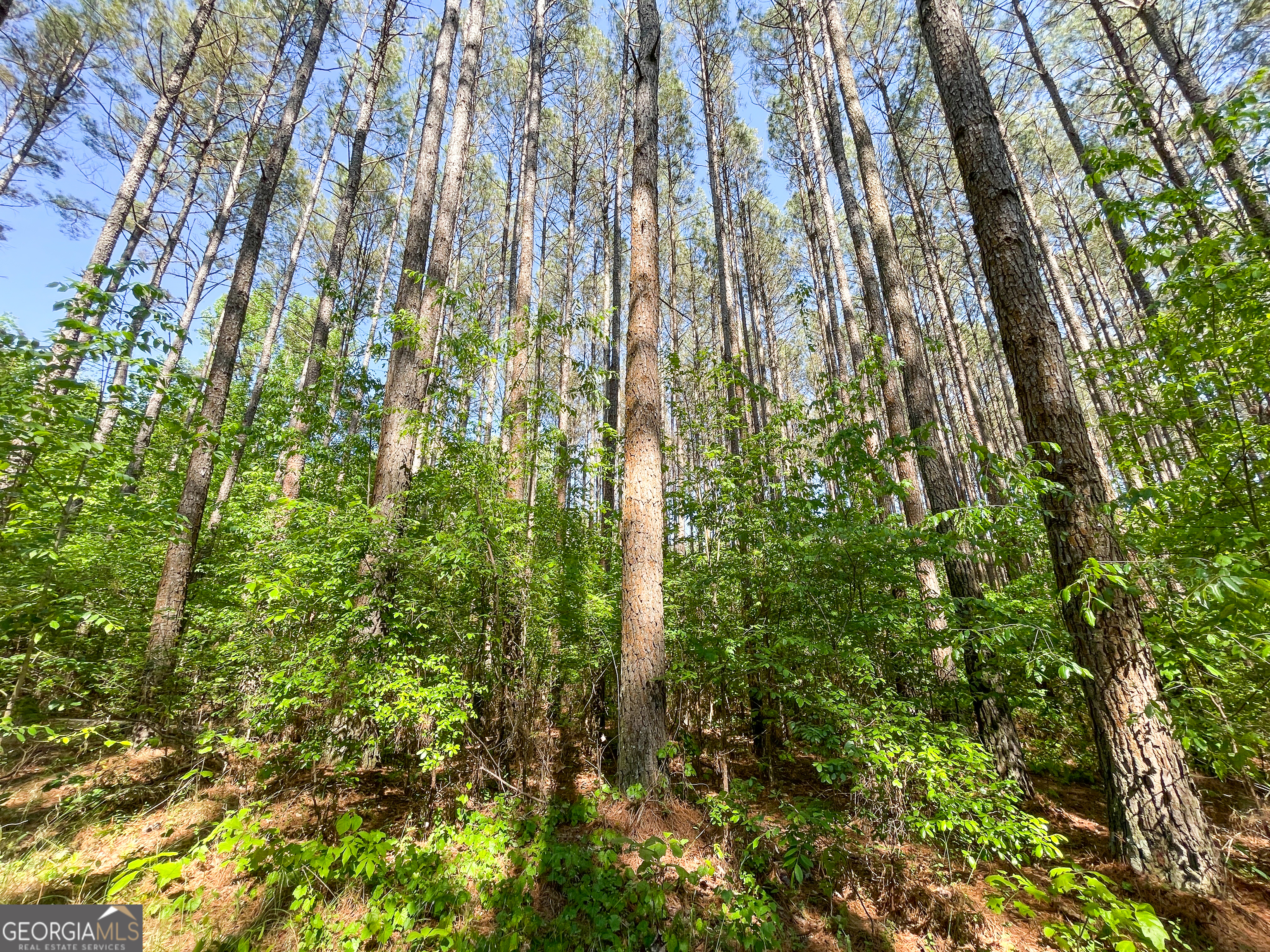 1218 Johnson Cemetery Road (29 +/-ACRES) Lyerly GA 30730