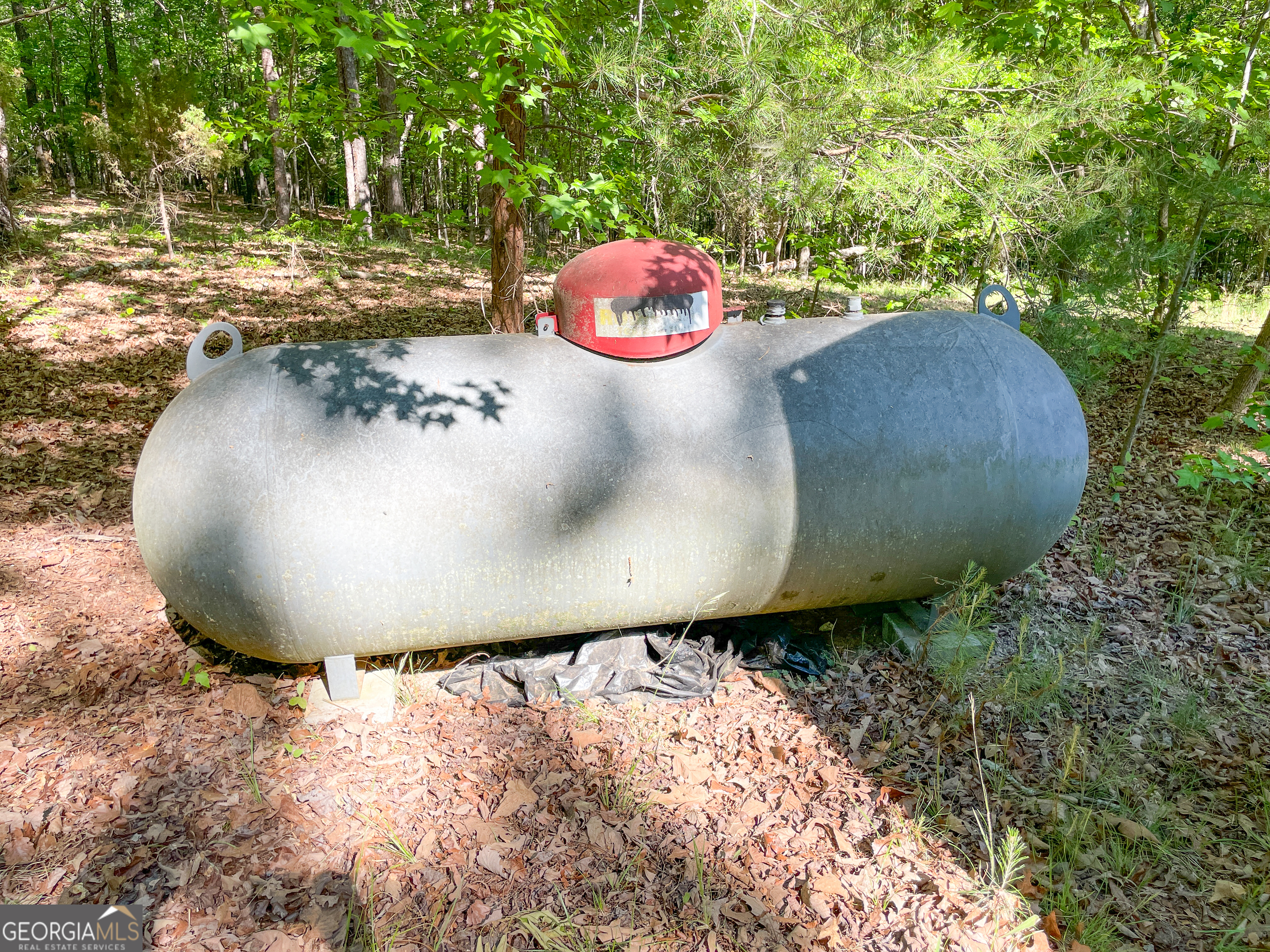 1218 Johnson Cemetery Road (29 +/-ACRES) Lyerly GA 30730