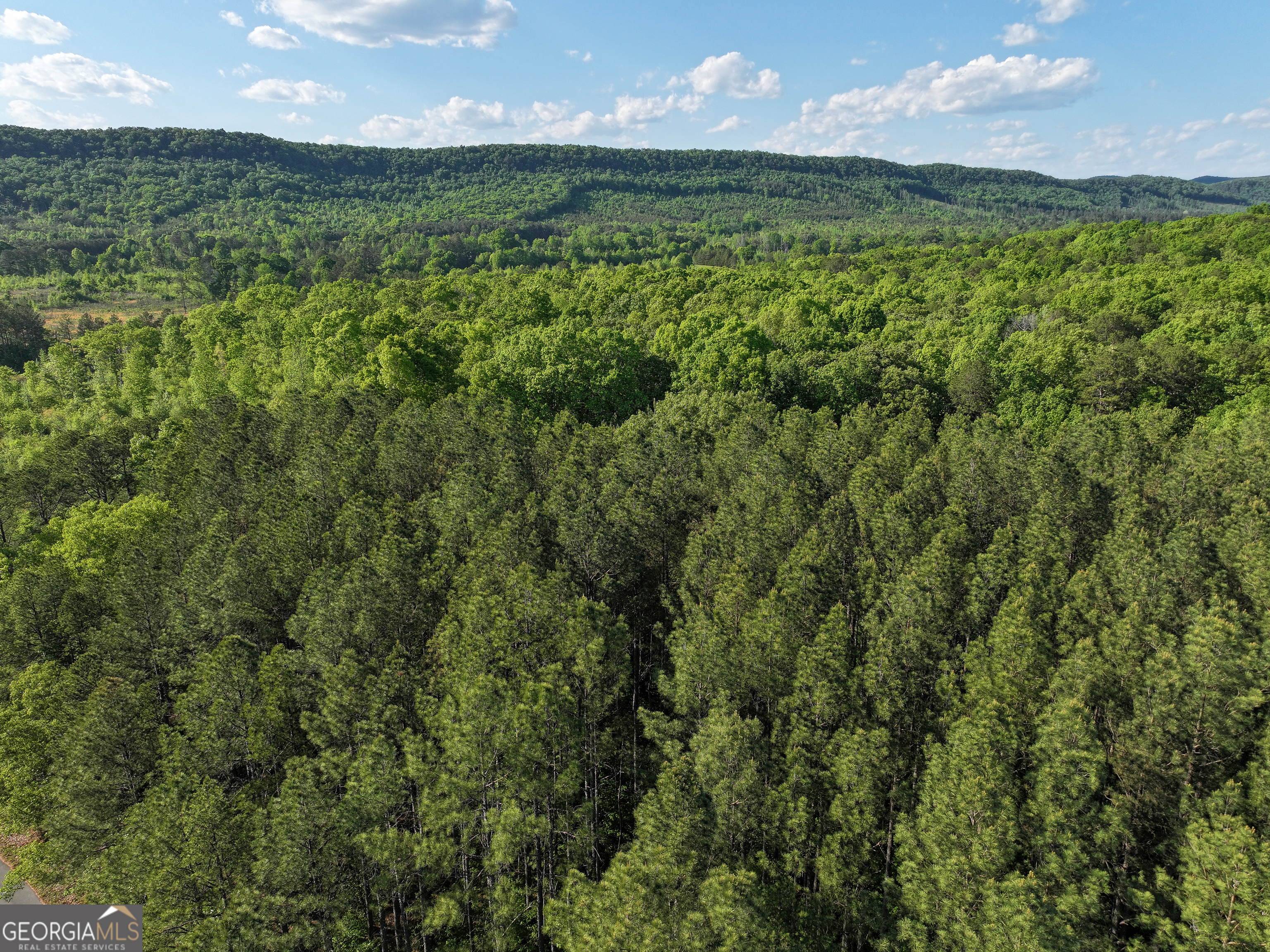 1218 Johnson Cemetery Road (29 +/-ACRES) Lyerly GA 30730
