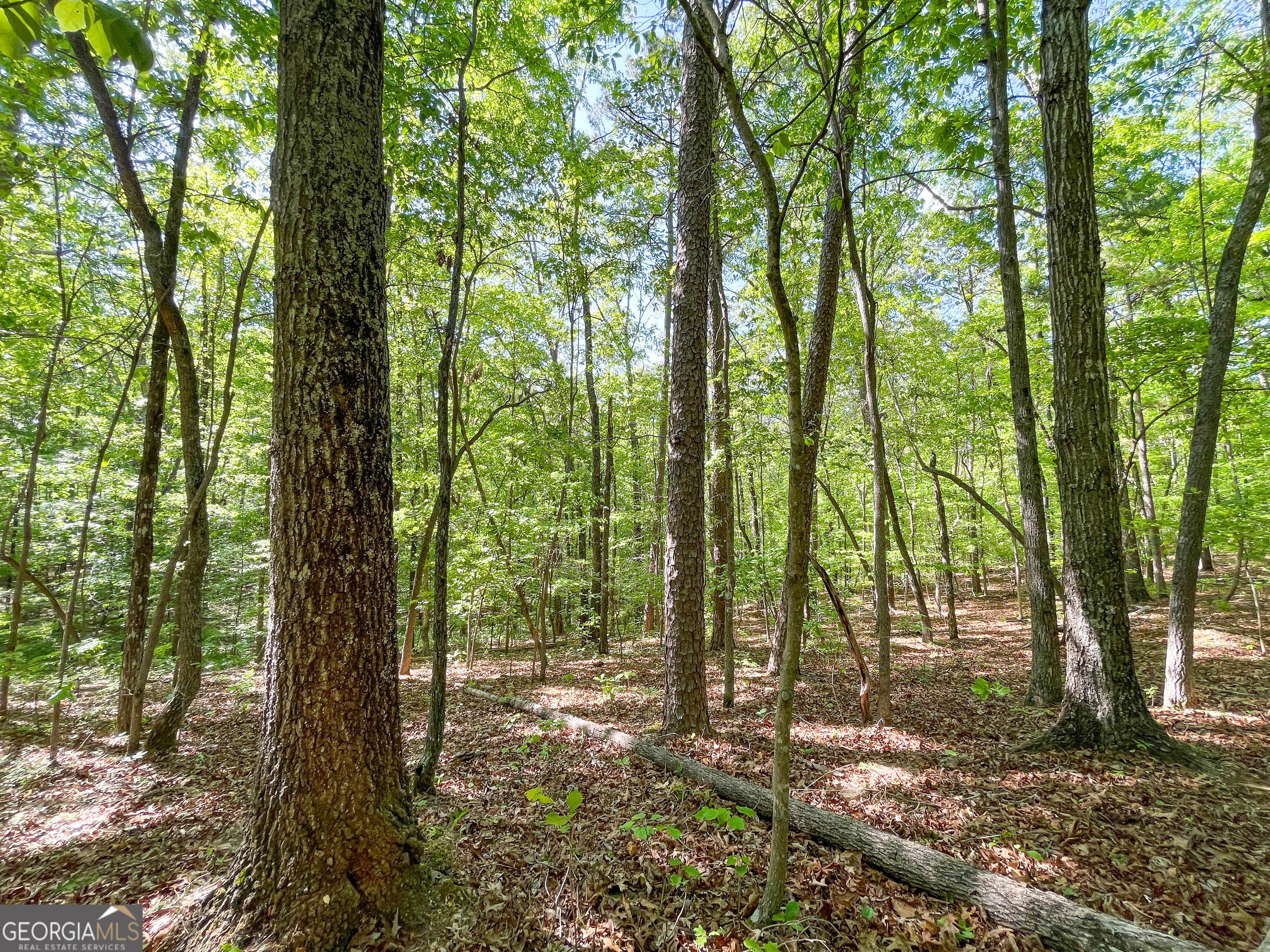1218 Johnson Cemetery Road (29 +/-ACRES) Lyerly GA 30730