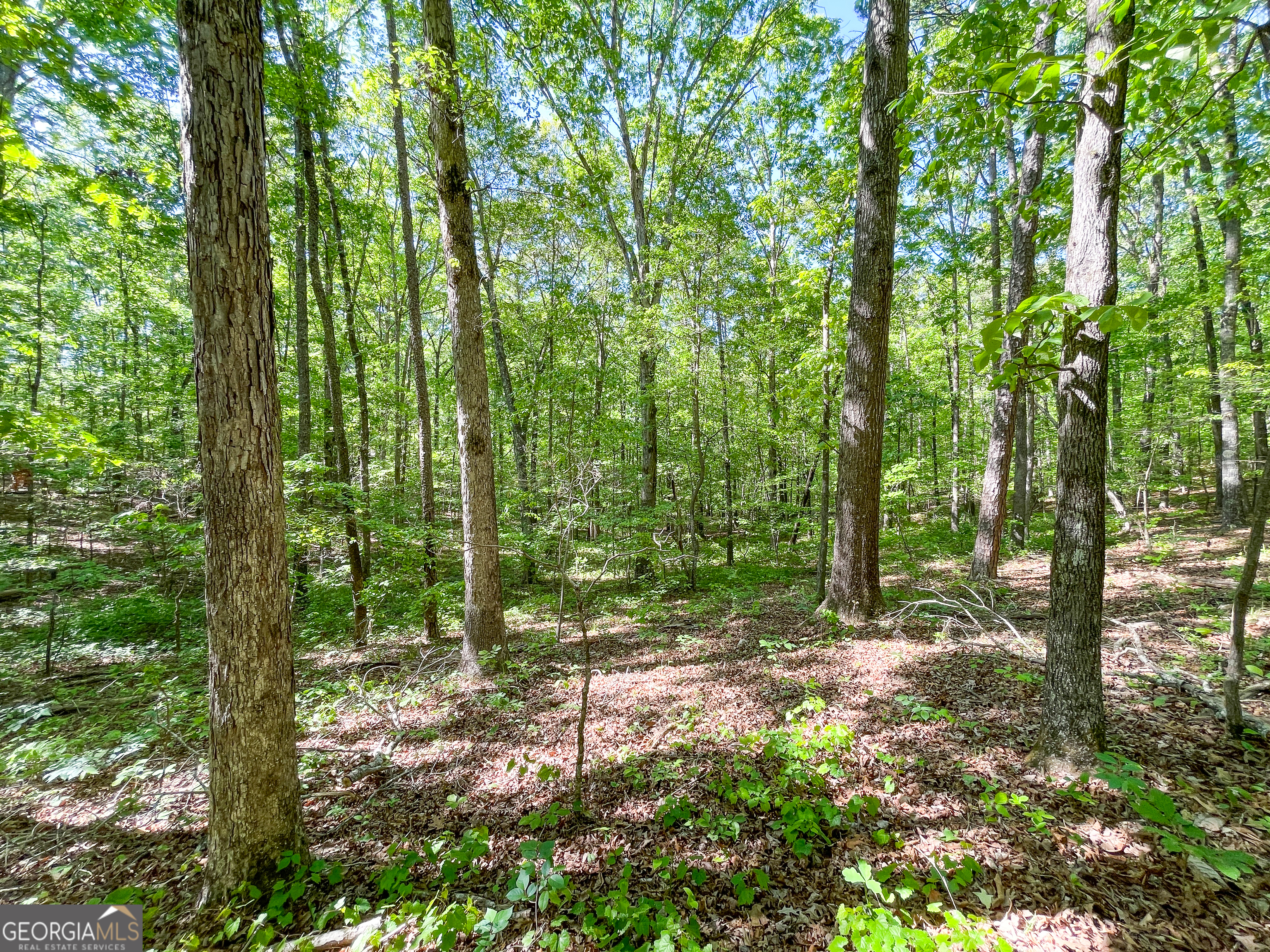 1218 Johnson Cemetery Road (29 +/-ACRES) Lyerly GA 30730