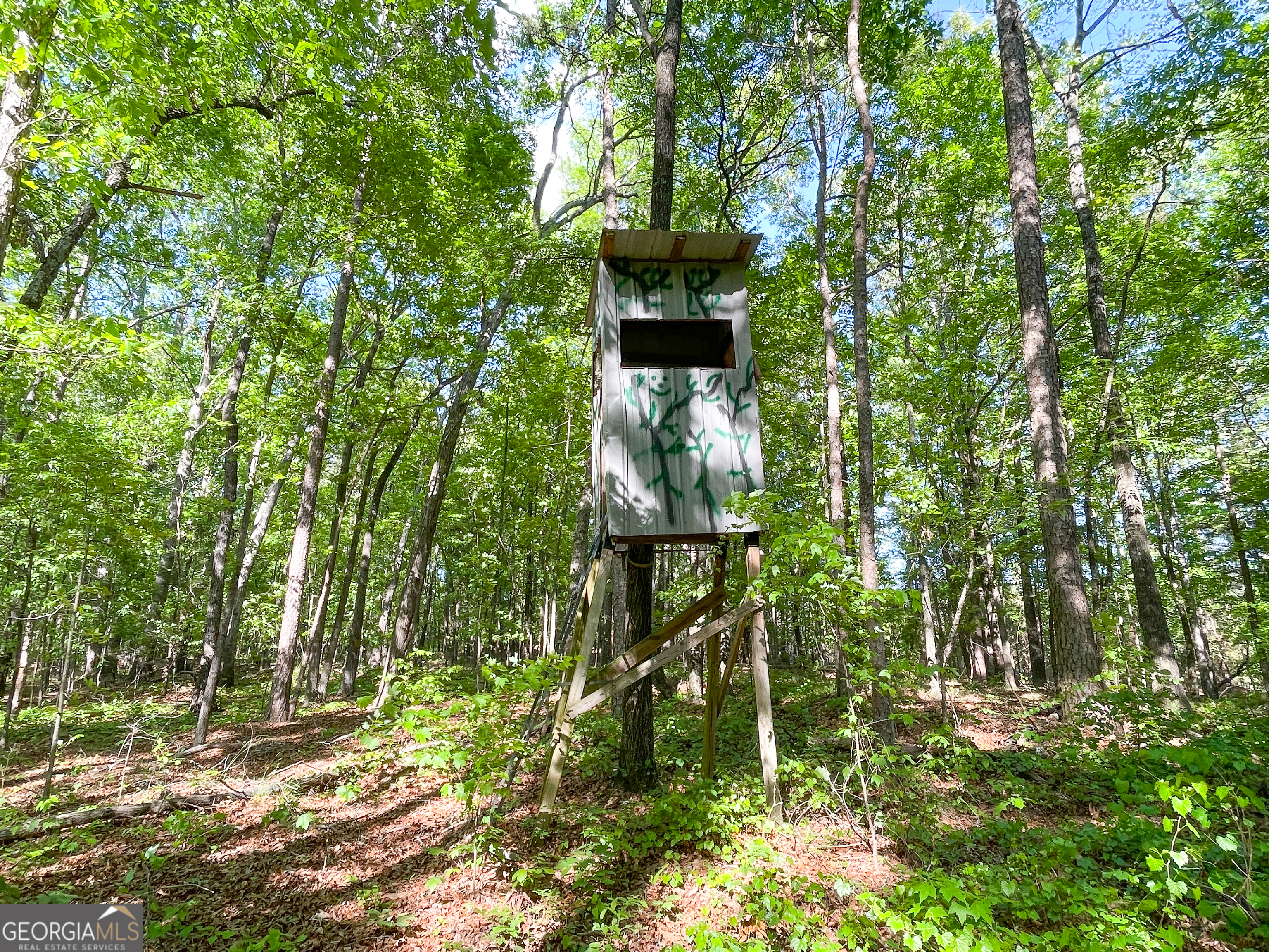 1218 Johnson Cemetery Road (29 +/-ACRES) Lyerly GA 30730