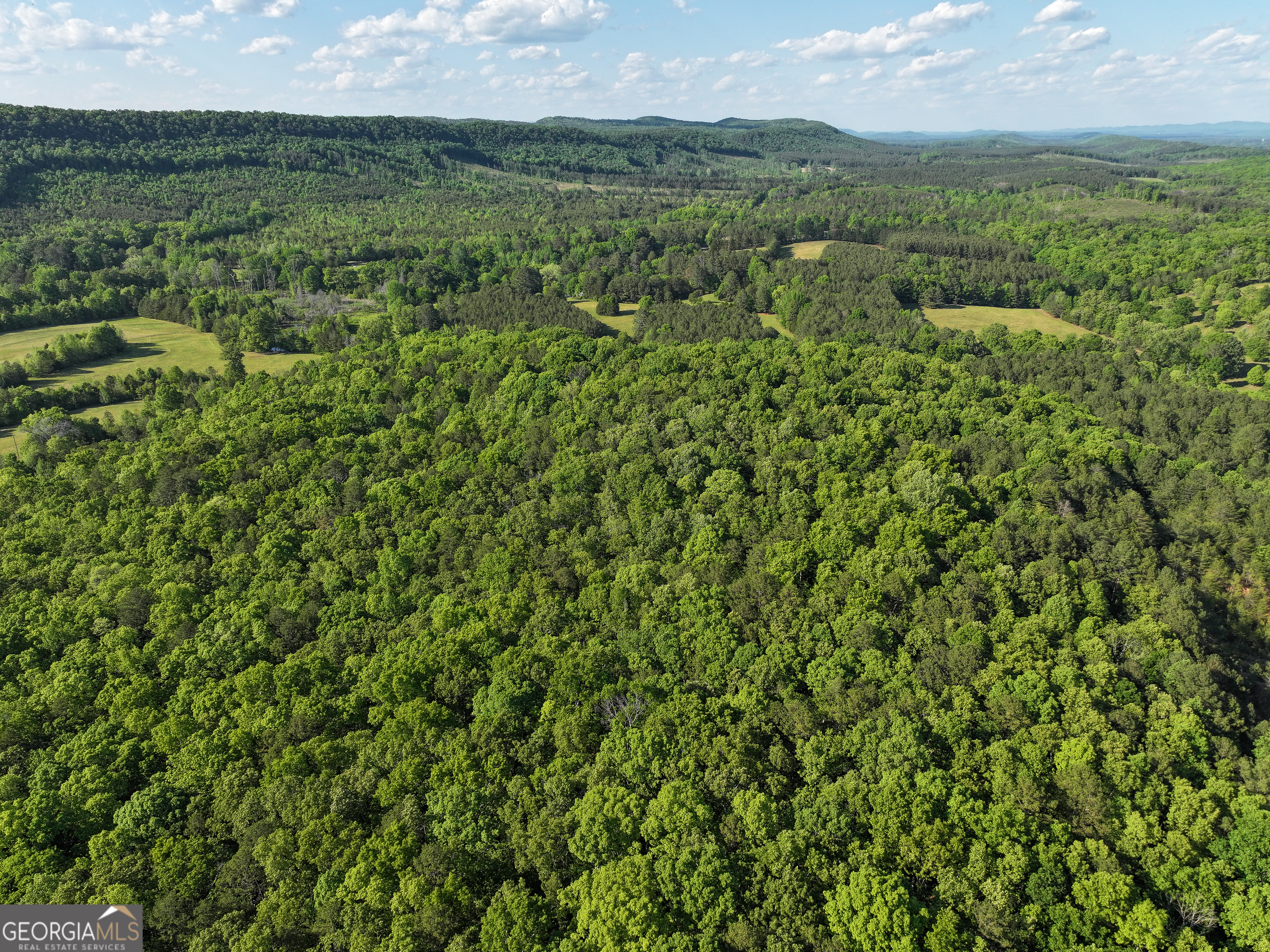 1218 Johnson Cemetery Road (29 +/-ACRES) Lyerly GA 30730