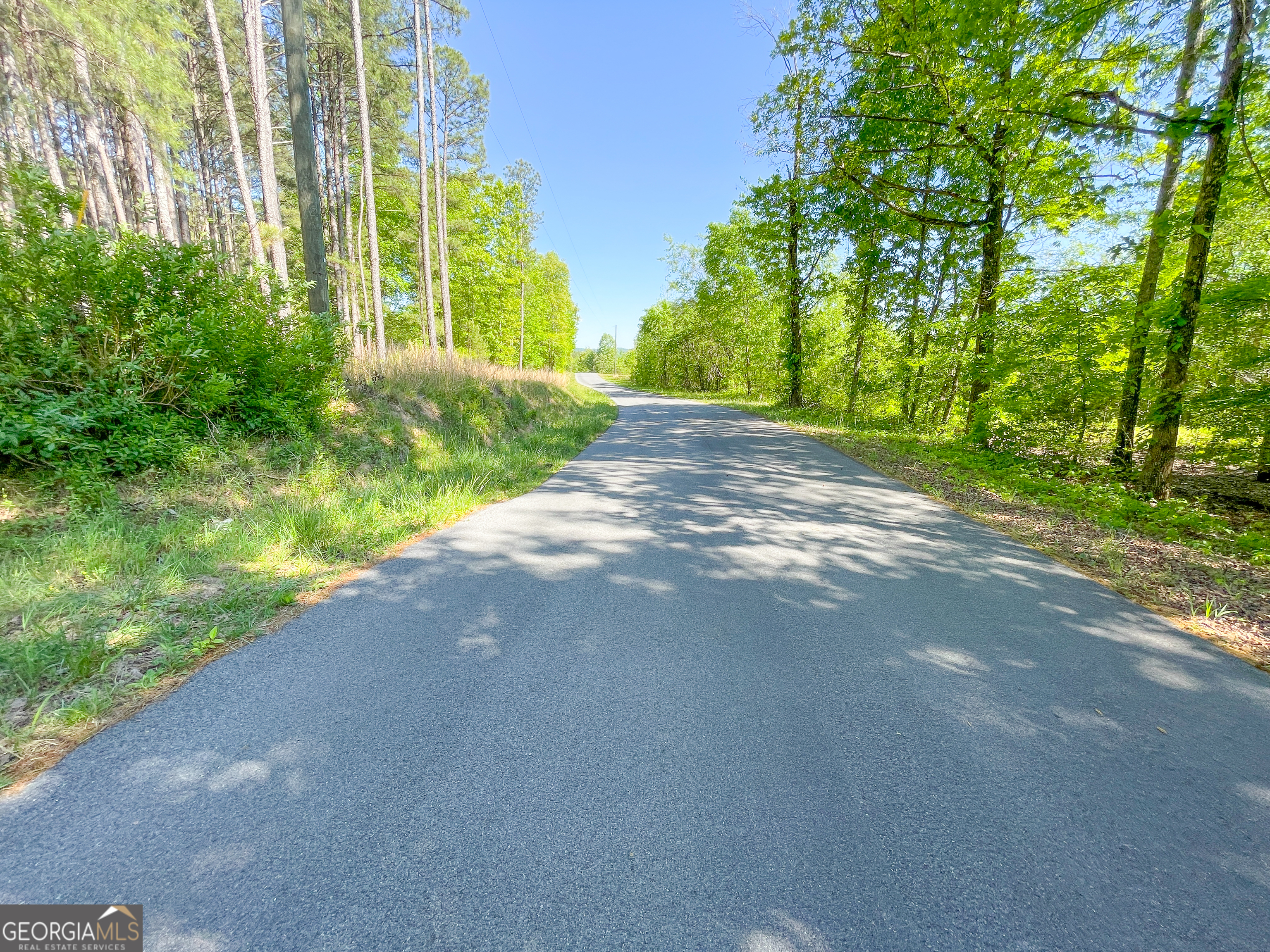 1218 Johnson Cemetery Road (29 +/-ACRES) Lyerly GA 30730