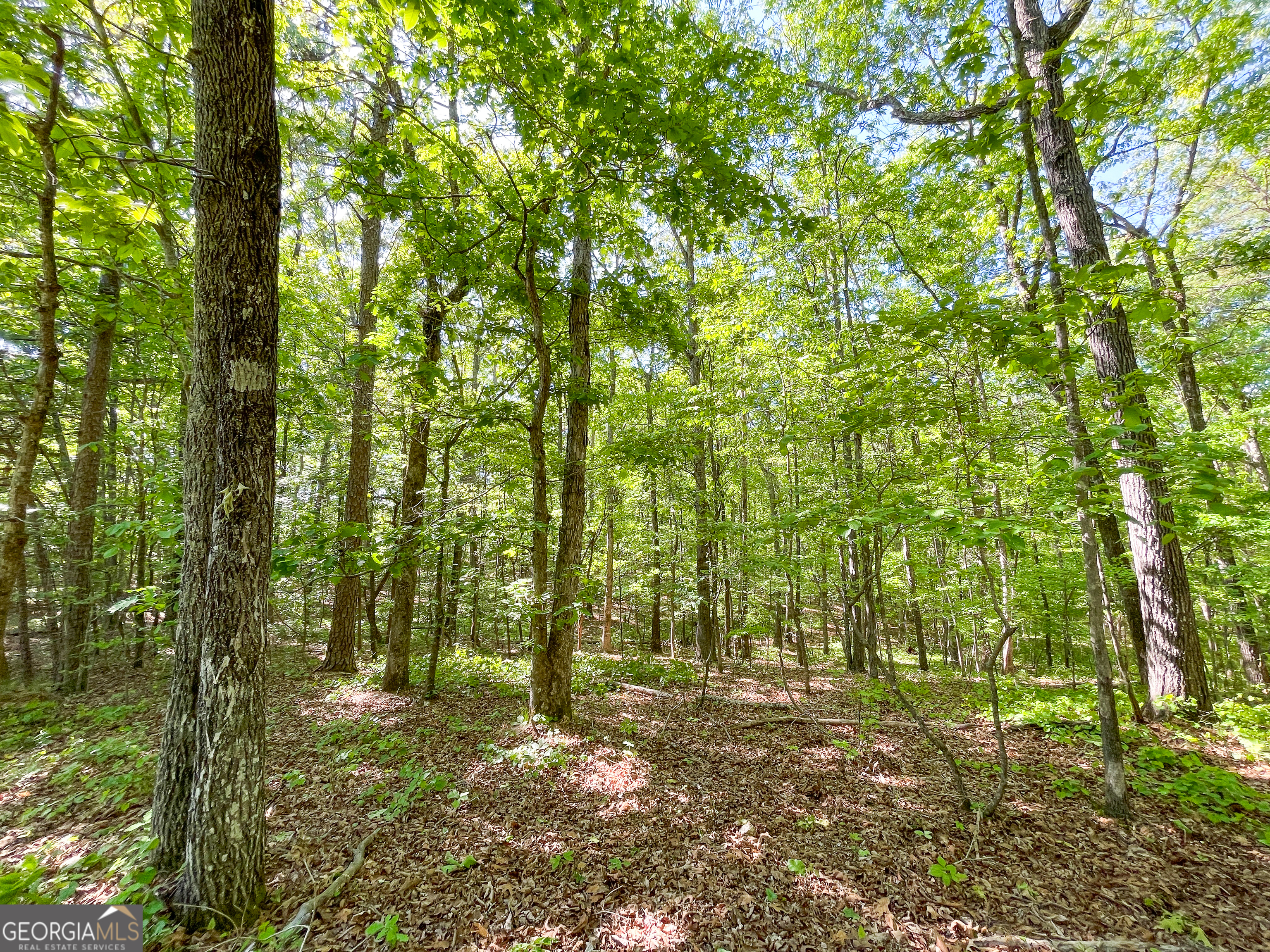1218 Johnson Cemetery Road (29 +/-ACRES) Lyerly GA 30730