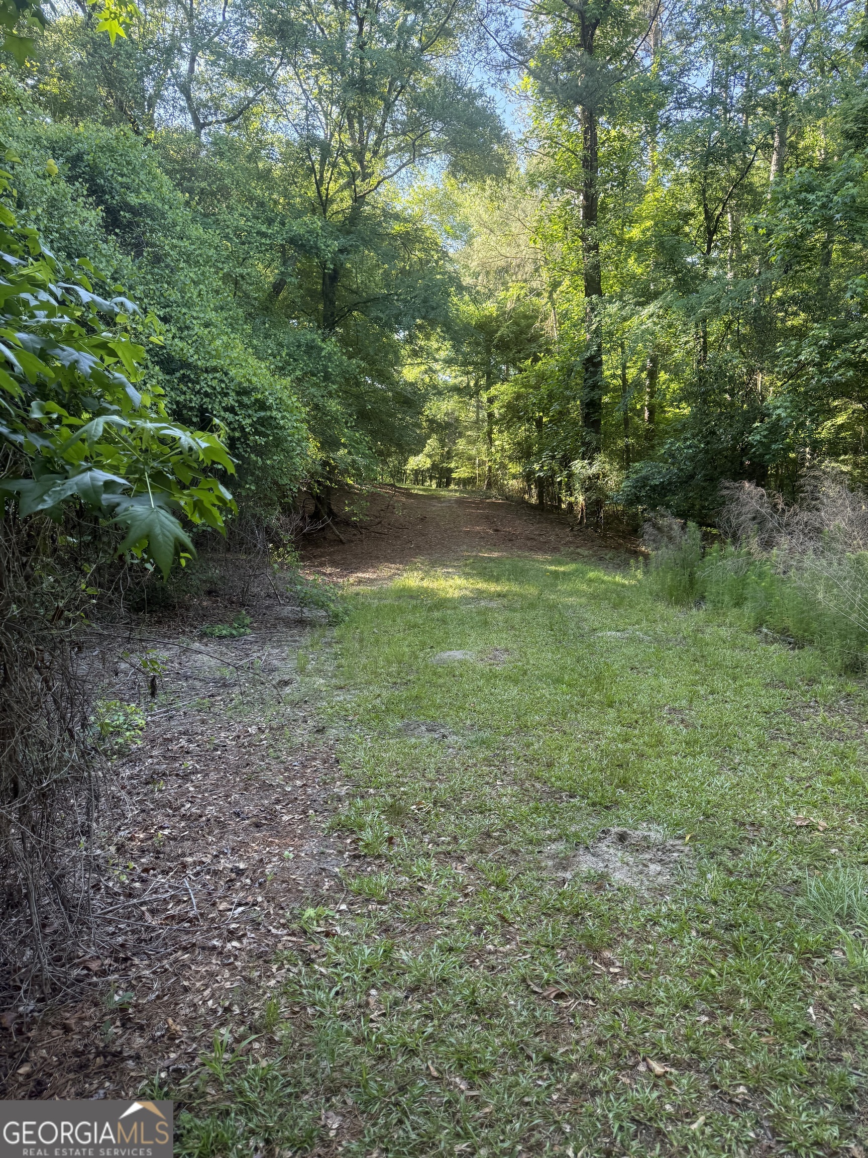 0 Thomas Street Montezuma GA 31063
