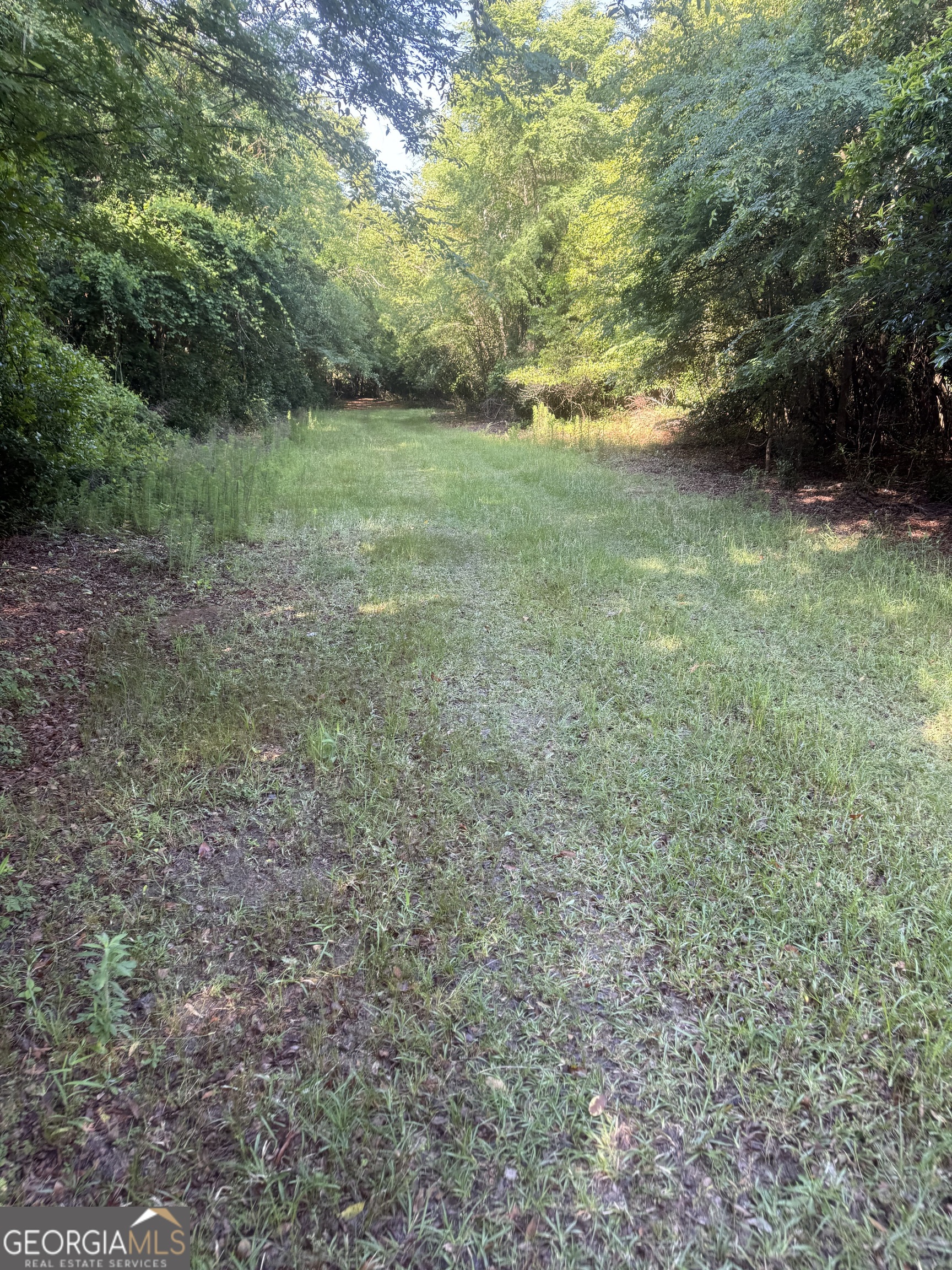 0 Thomas Street Montezuma GA 31063