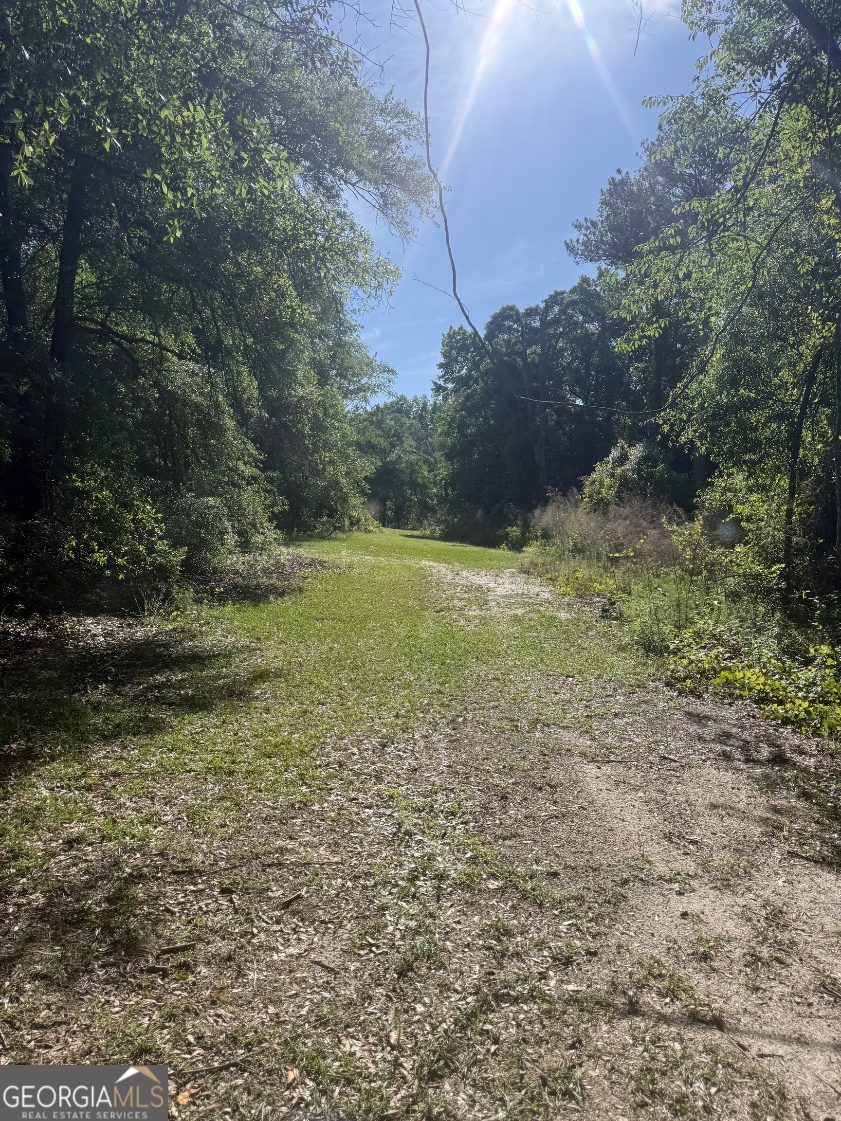 0 Thomas Street Montezuma GA 31063
