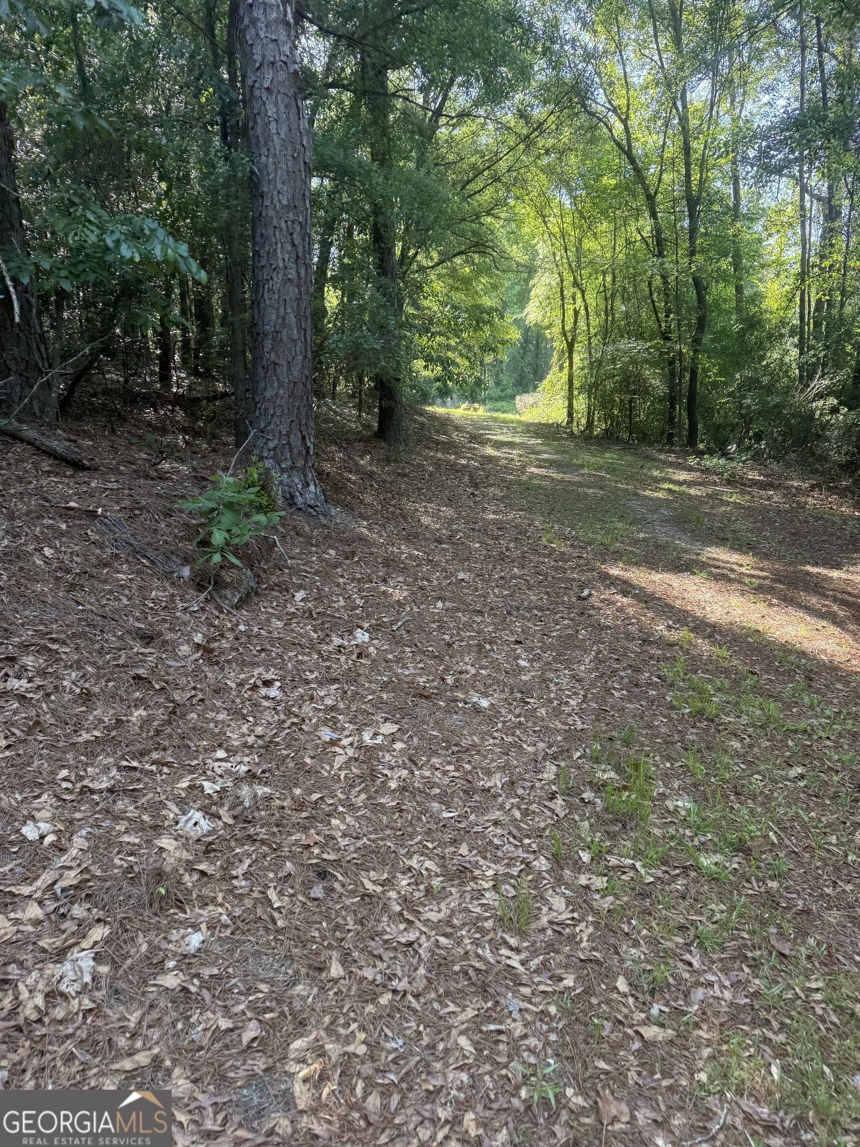 0 Thomas Street Montezuma GA 31063