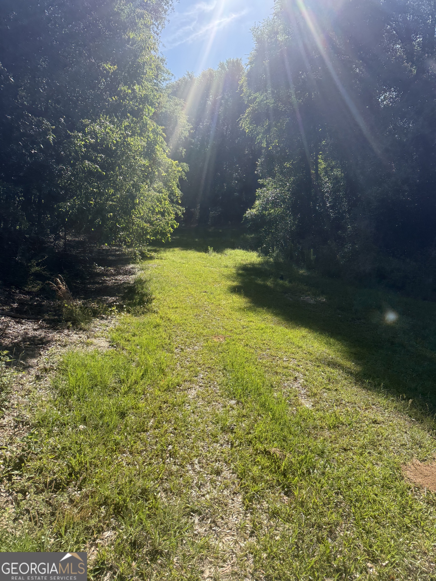 0 Thomas Street Montezuma GA 31063